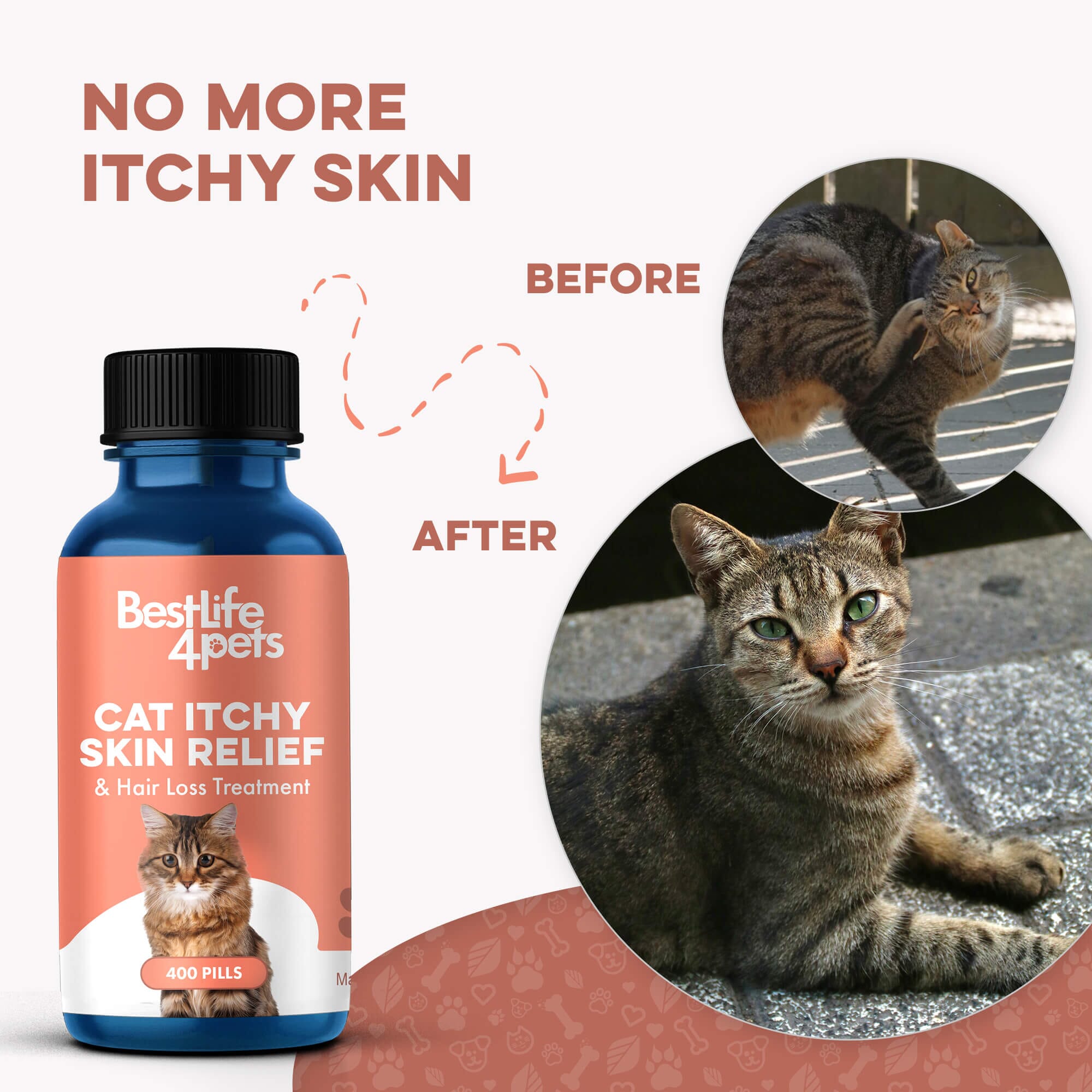 Healthy Skin for Cats - Cat Miliary Dermatitis, Skin Allergy & Cat Scabs Remedy by BestLife4Pets