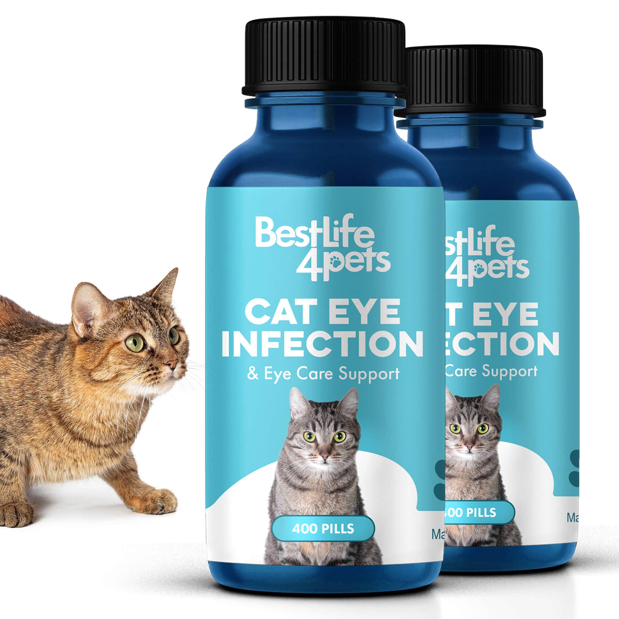 Cat Eye Infection, Eye Care & Vision Support by BestLife4Pets