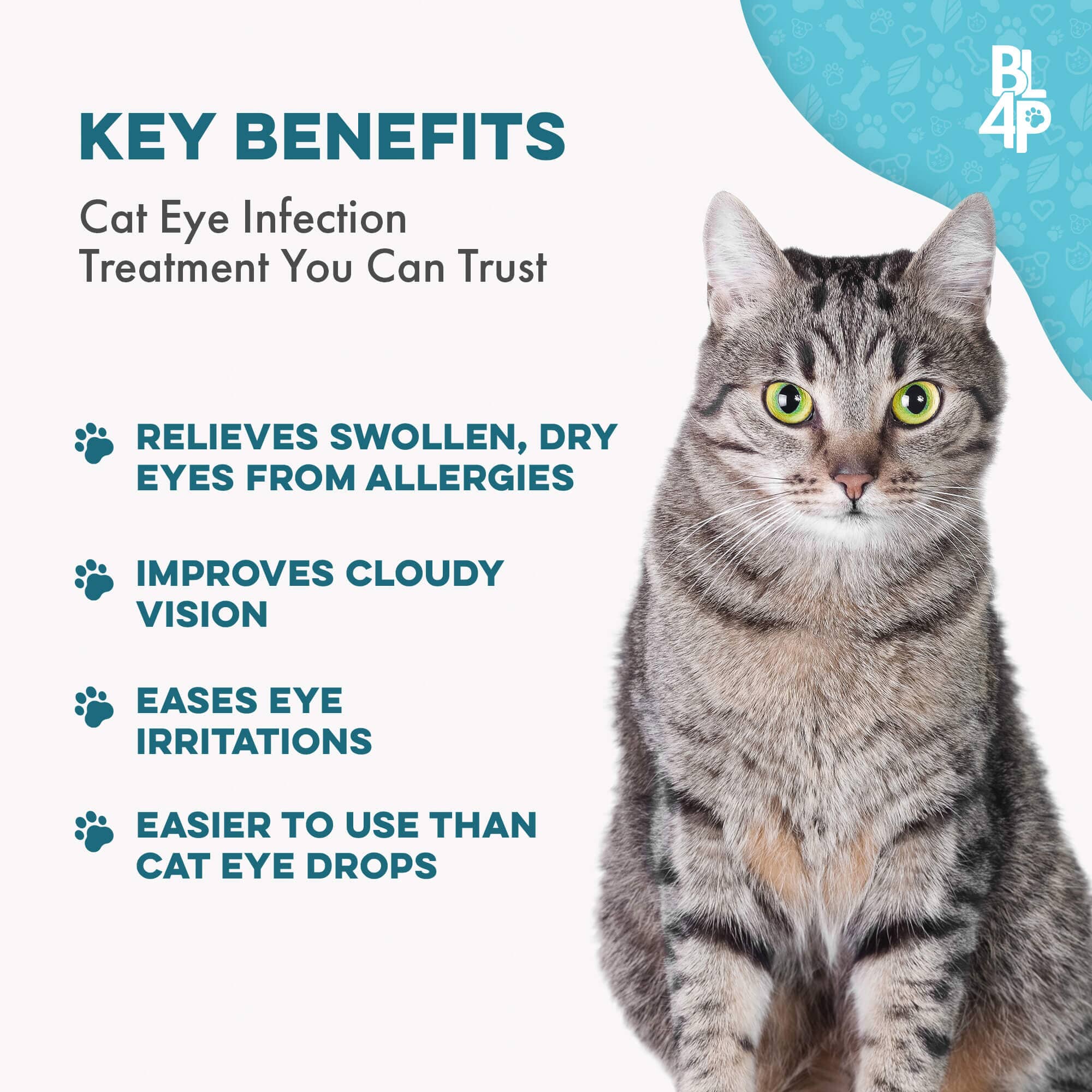 Cat Eye Infection, Eye Care & Vision Support by BestLife4Pets