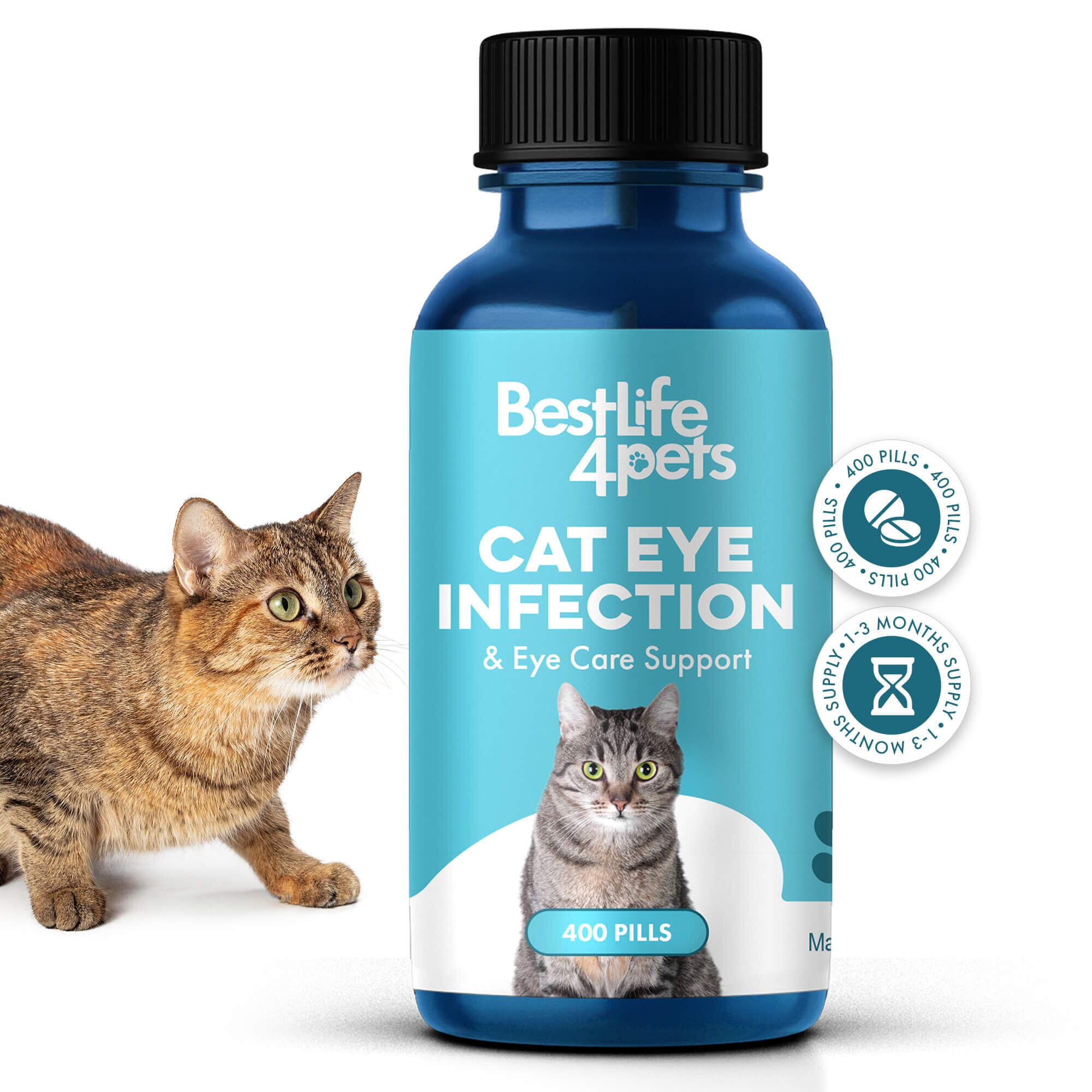 Cat Eye Infection, Eye Care & Vision Support by BestLife4Pets