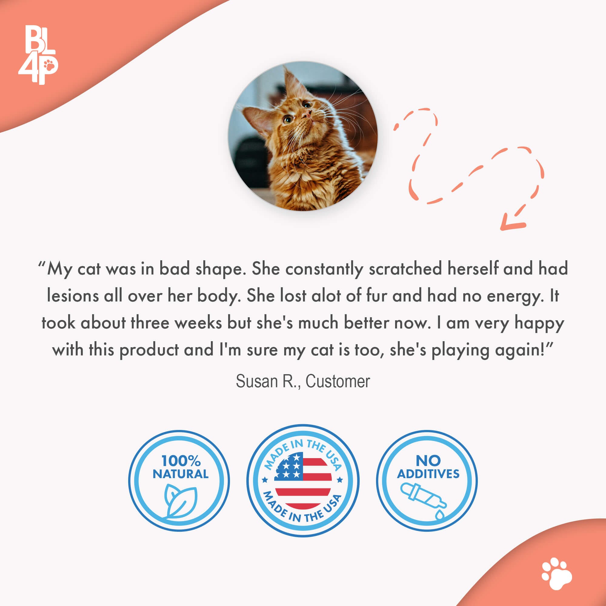 Mange Treatment for Cats - Treats Feline Sarcoptic & Demodectic Mange, Scabies & Ear Mites by BestLife4Pets