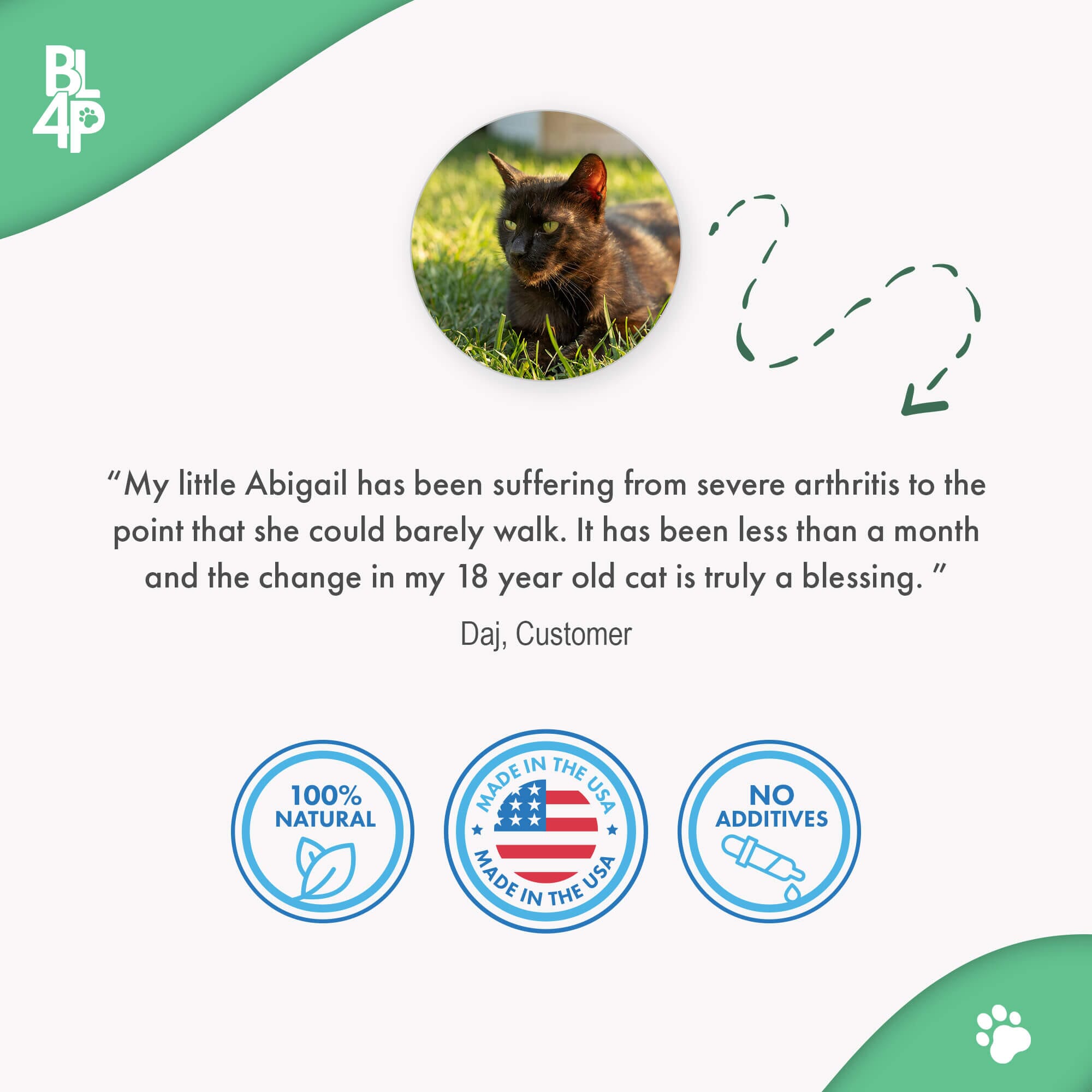 WALK-EASY® Joint and Hip Pain Relief for Dogs and Cats - Helps Arthritis, Torn Ligament and Other Joint Conditions by BestLife4Pets