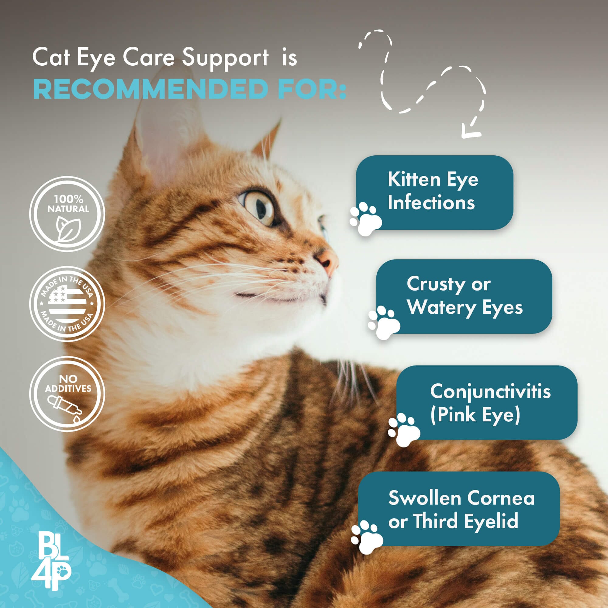 Cat Eye Infection, Eye Care & Vision Support by BestLife4Pets