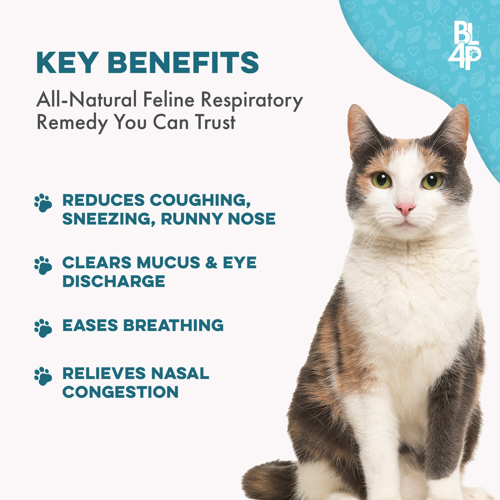 Breathe Easy for Cats - Cold, Sneezing & Respiratory Support by BestLife4Pets