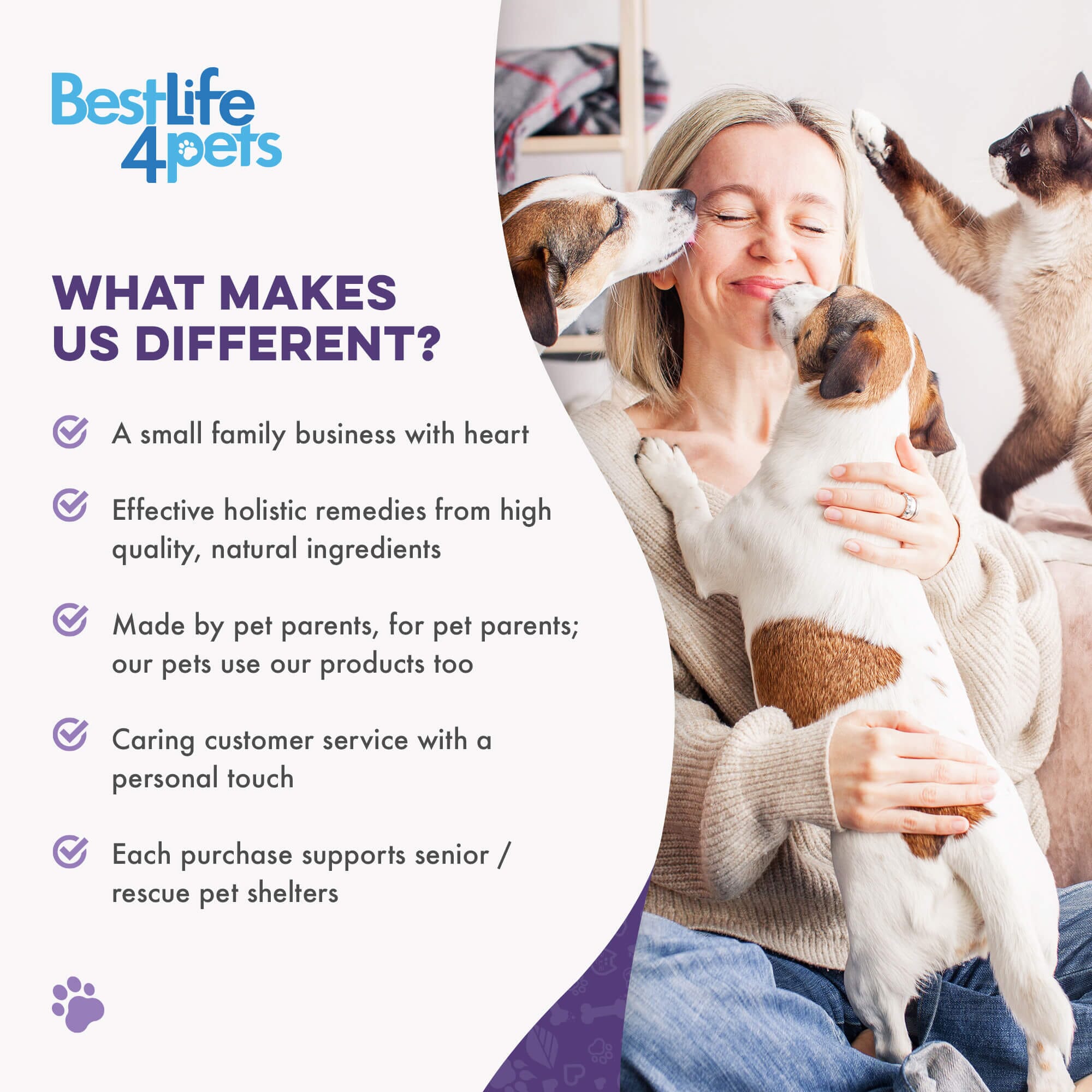 Peaceful Paws Cat Aggression & Anxiety Management for Stress, Spraying, Territorial Behavior by BestLife4Pets