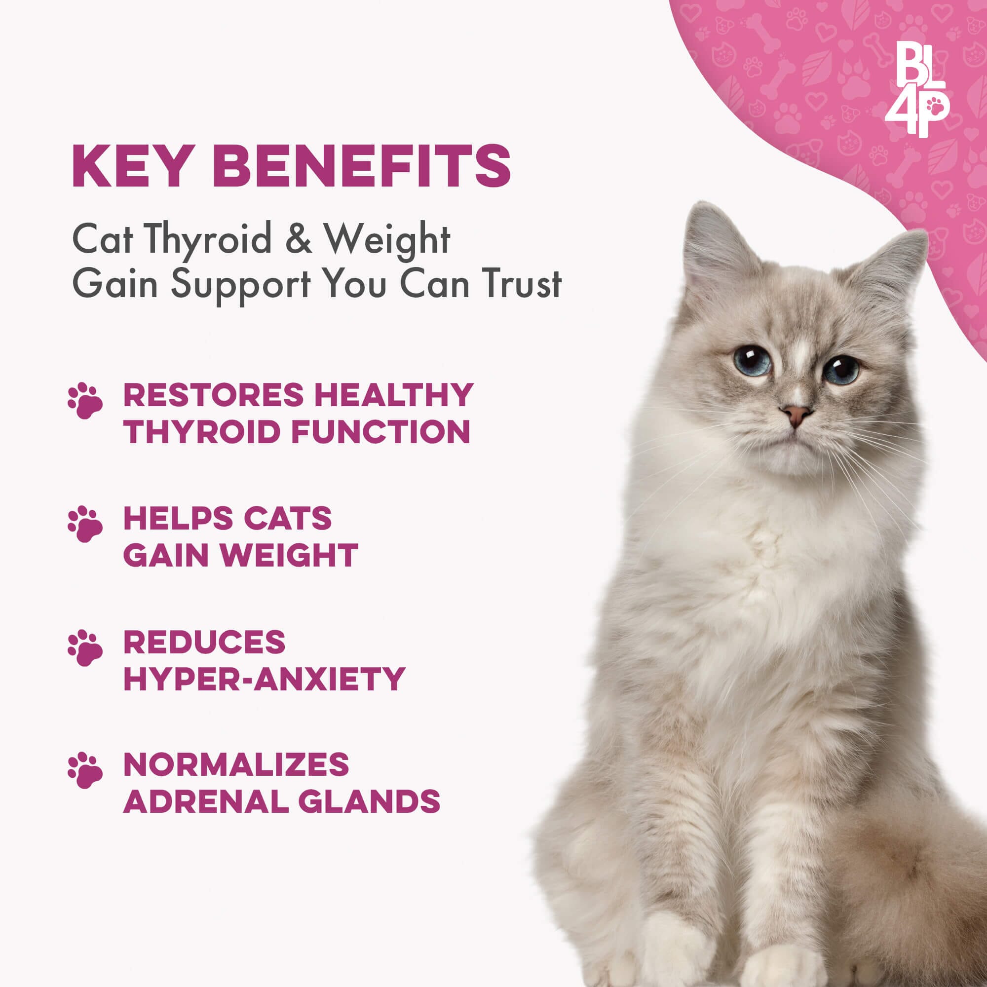 Hyperthyroidism Supplement for Cats - Helps Cat Weight Gain by BestLife4Pets