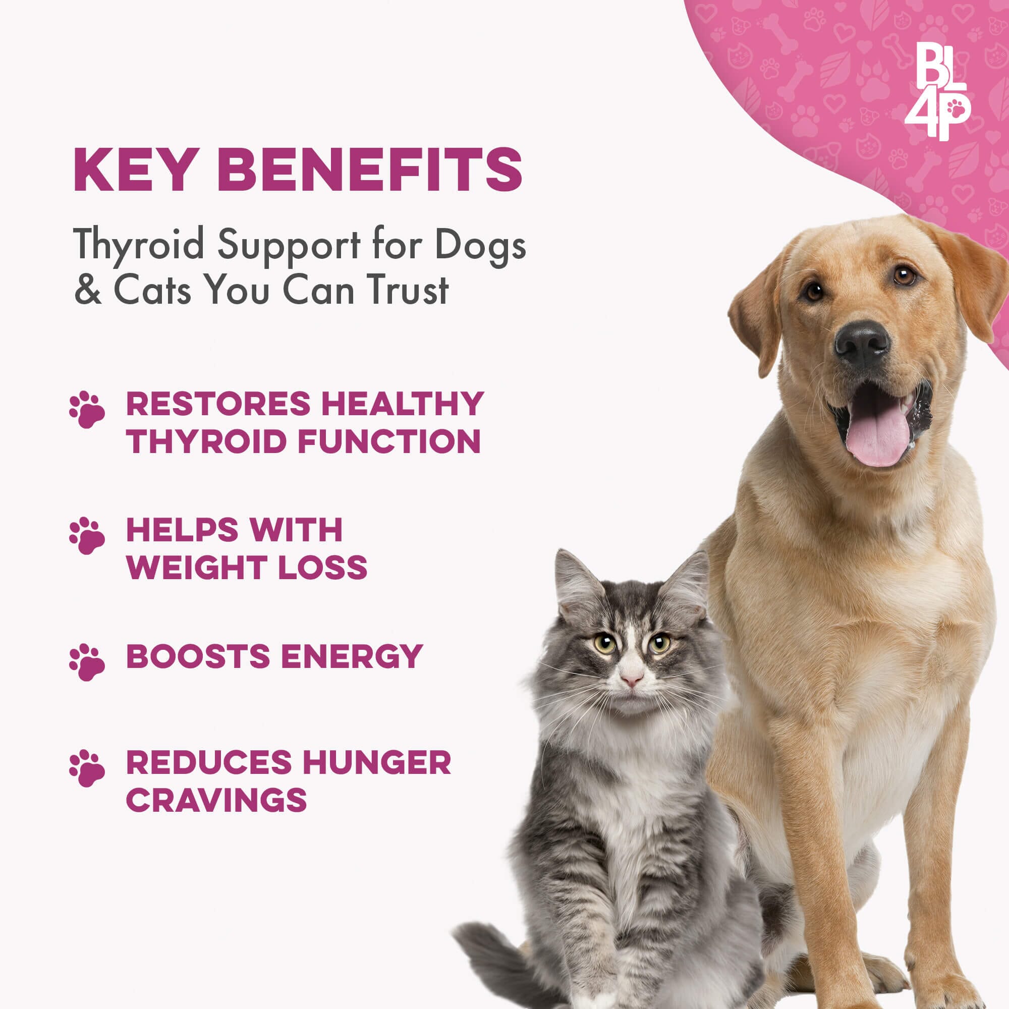 Natural Weight Loss & Thyroid Support Supplement for Dogs & Cats by BestLife4Pets