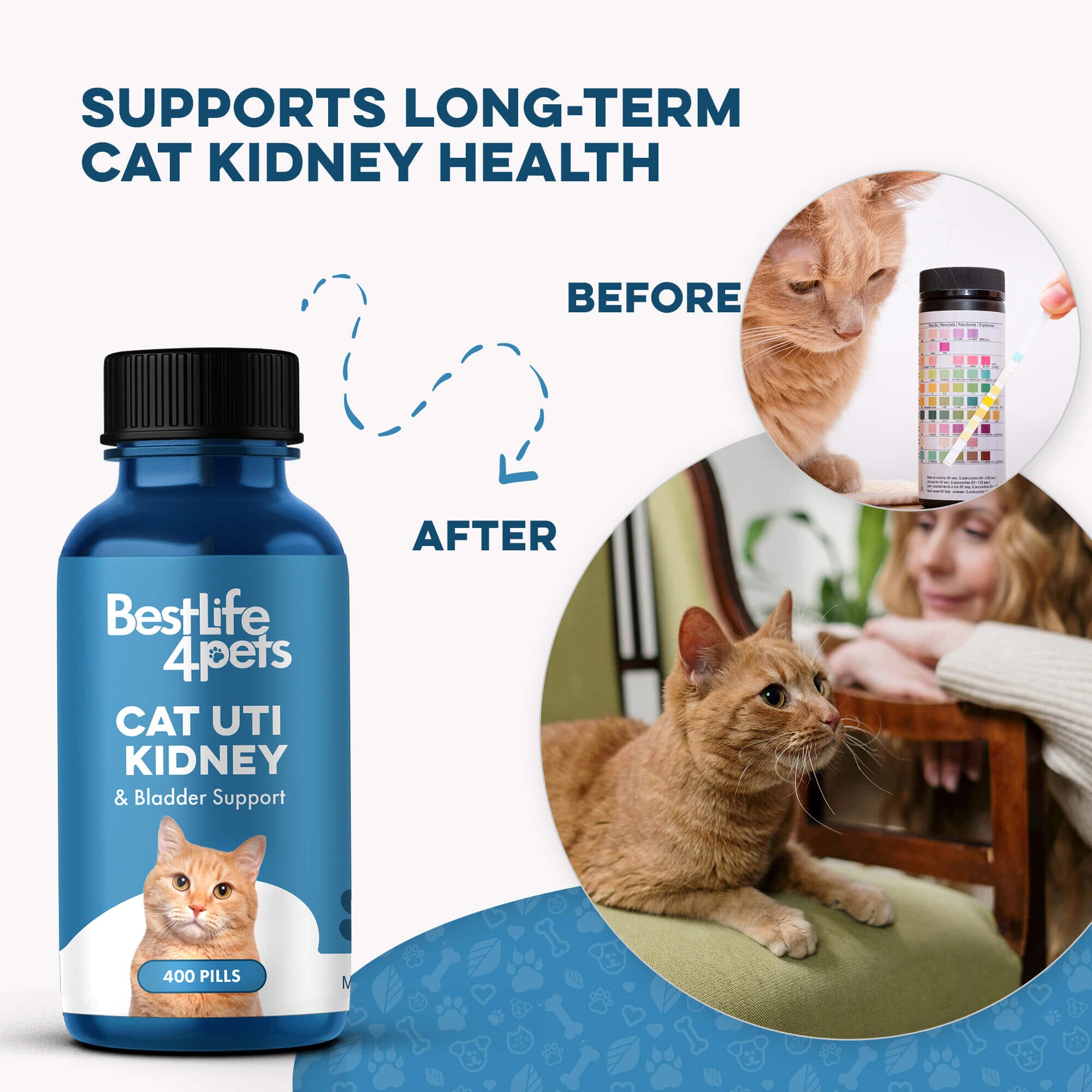 Natural Cat UTI & Kidney Remedy - Reduces Infections and Supports Optimal Bladder Function by BestLife4Pets