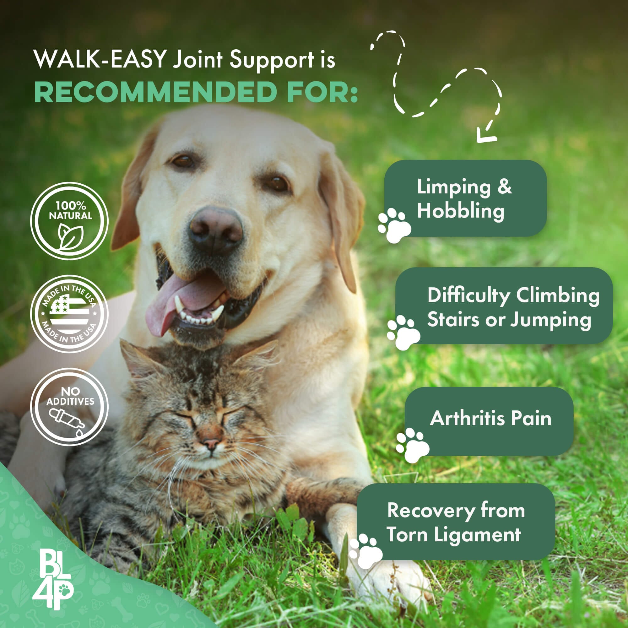 WALK-EASY® Joint and Hip Pain Relief for Dogs and Cats - Helps Arthritis, Torn Ligament and Other Joint Conditions by BestLife4Pets