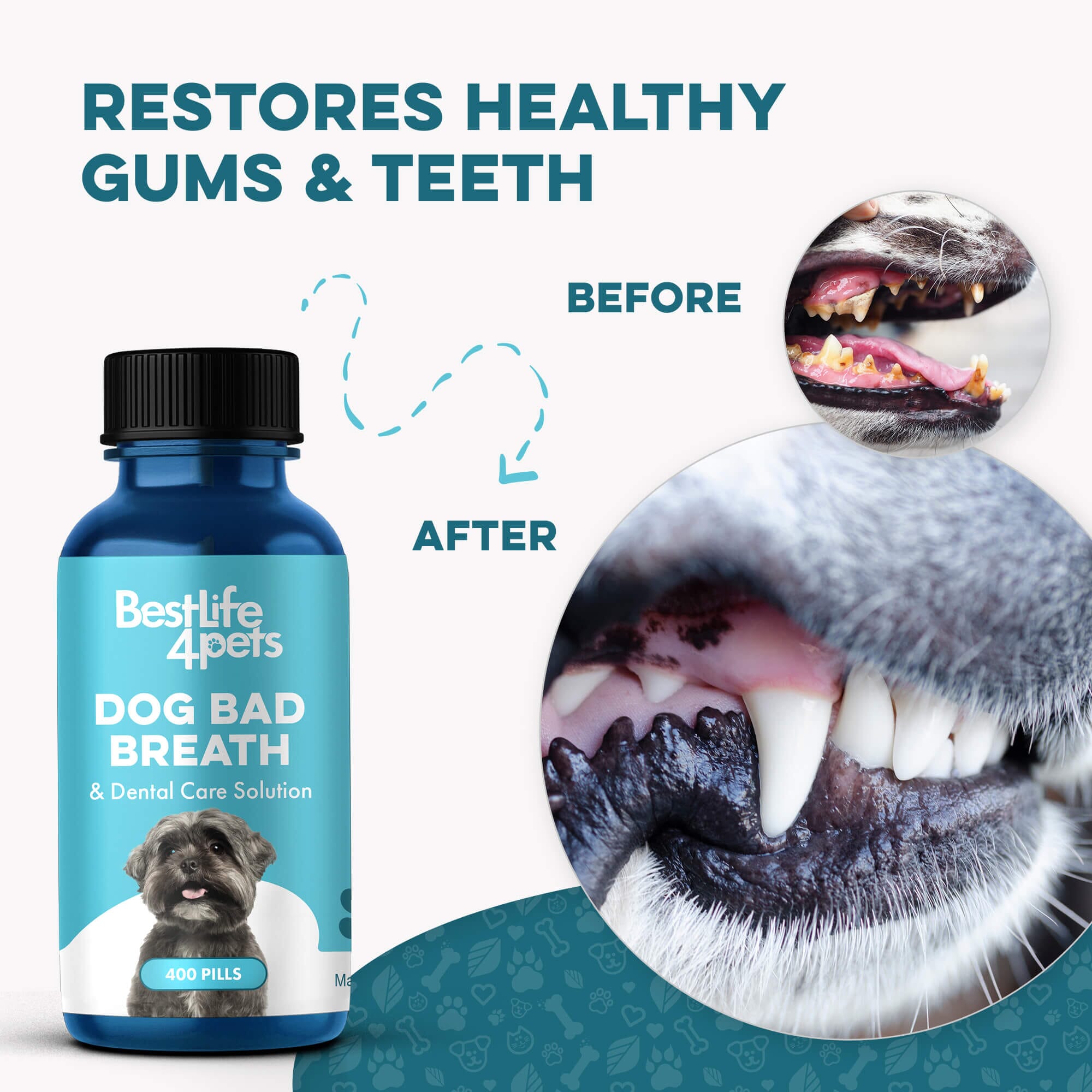 Dog Bad Breath & Dental Care Solution by BestLife4Pets