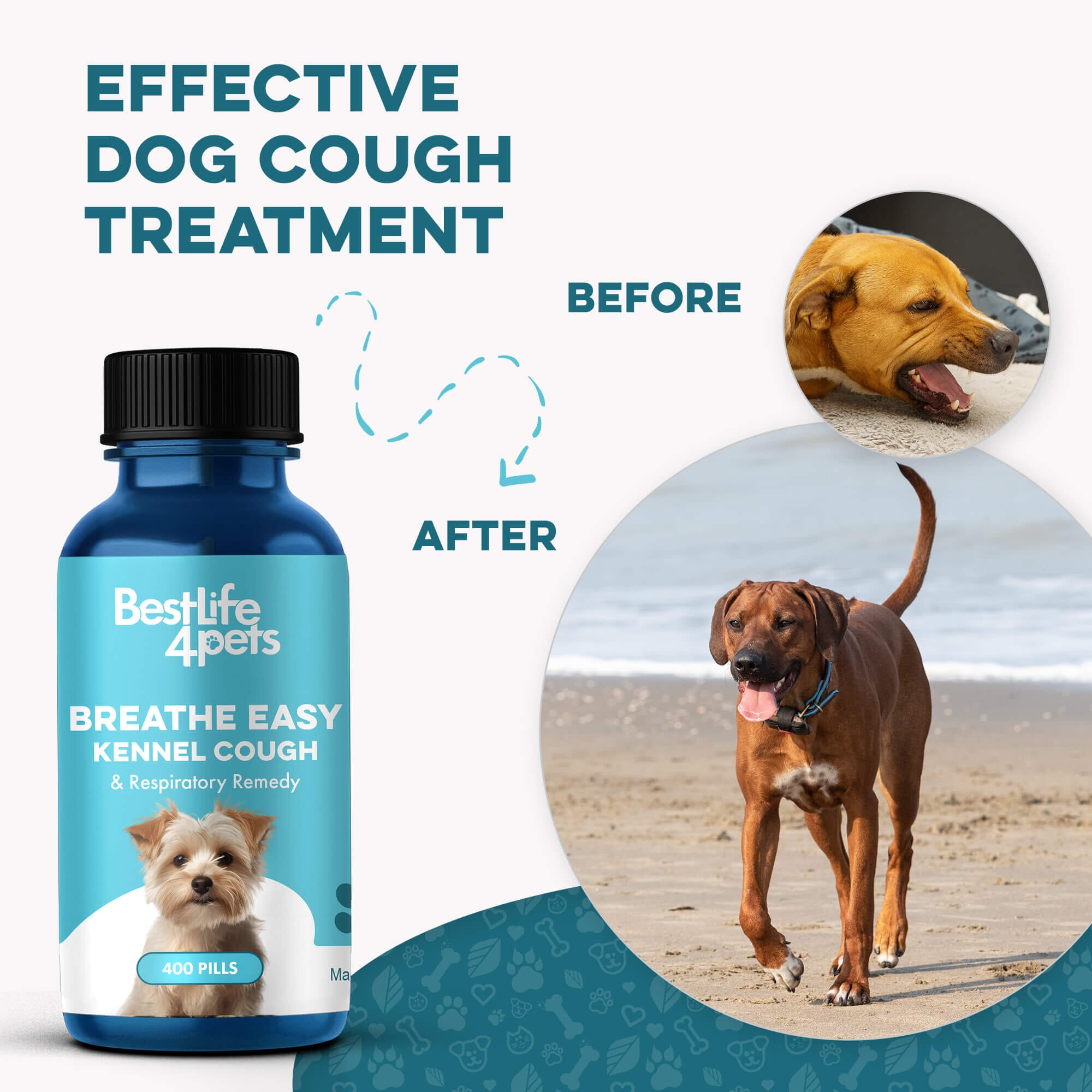 Breathe Easy Kennel Cough & Respiratory Support for Dogs by BestLife4Pets