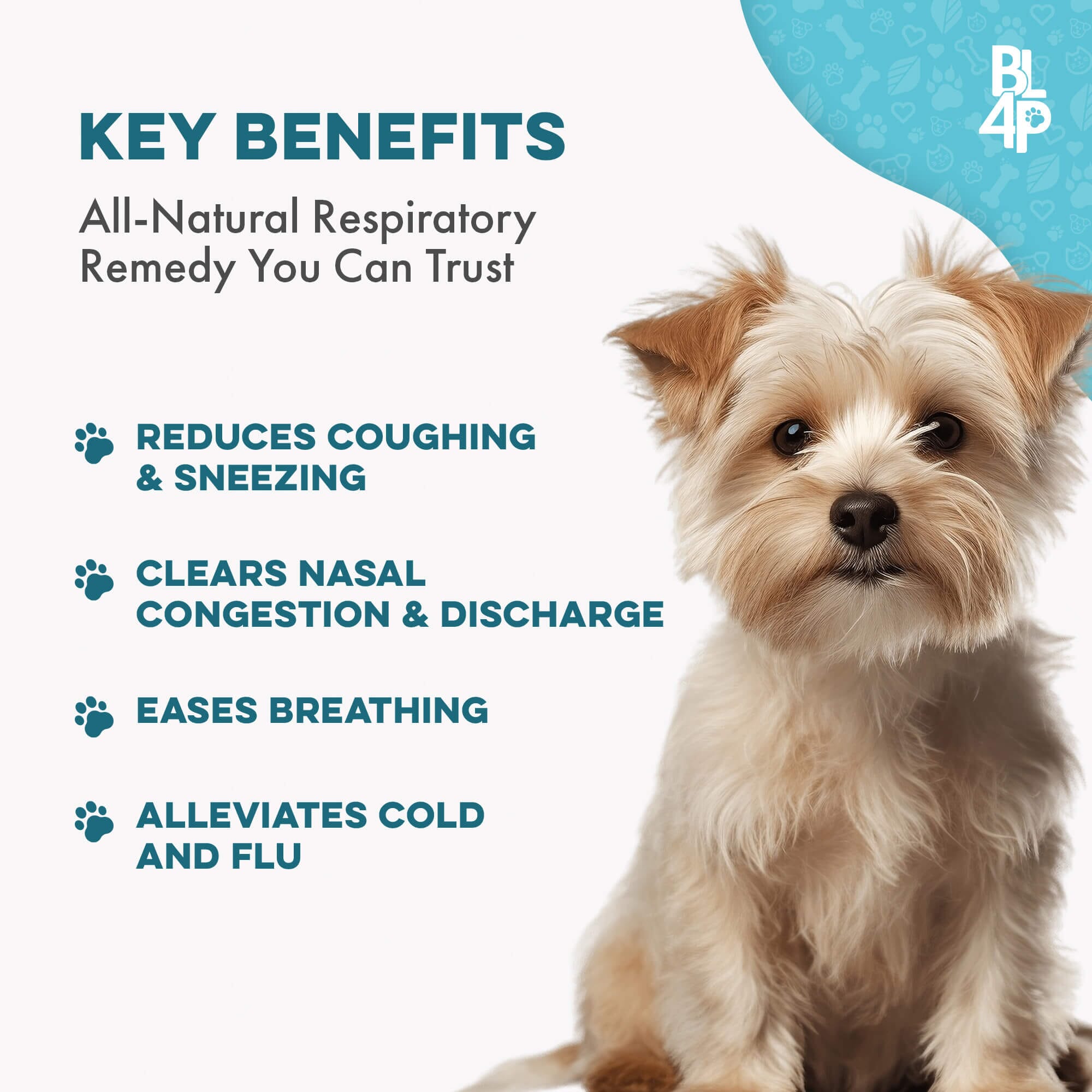 Breathe Easy Kennel Cough & Respiratory Support for Dogs by BestLife4Pets