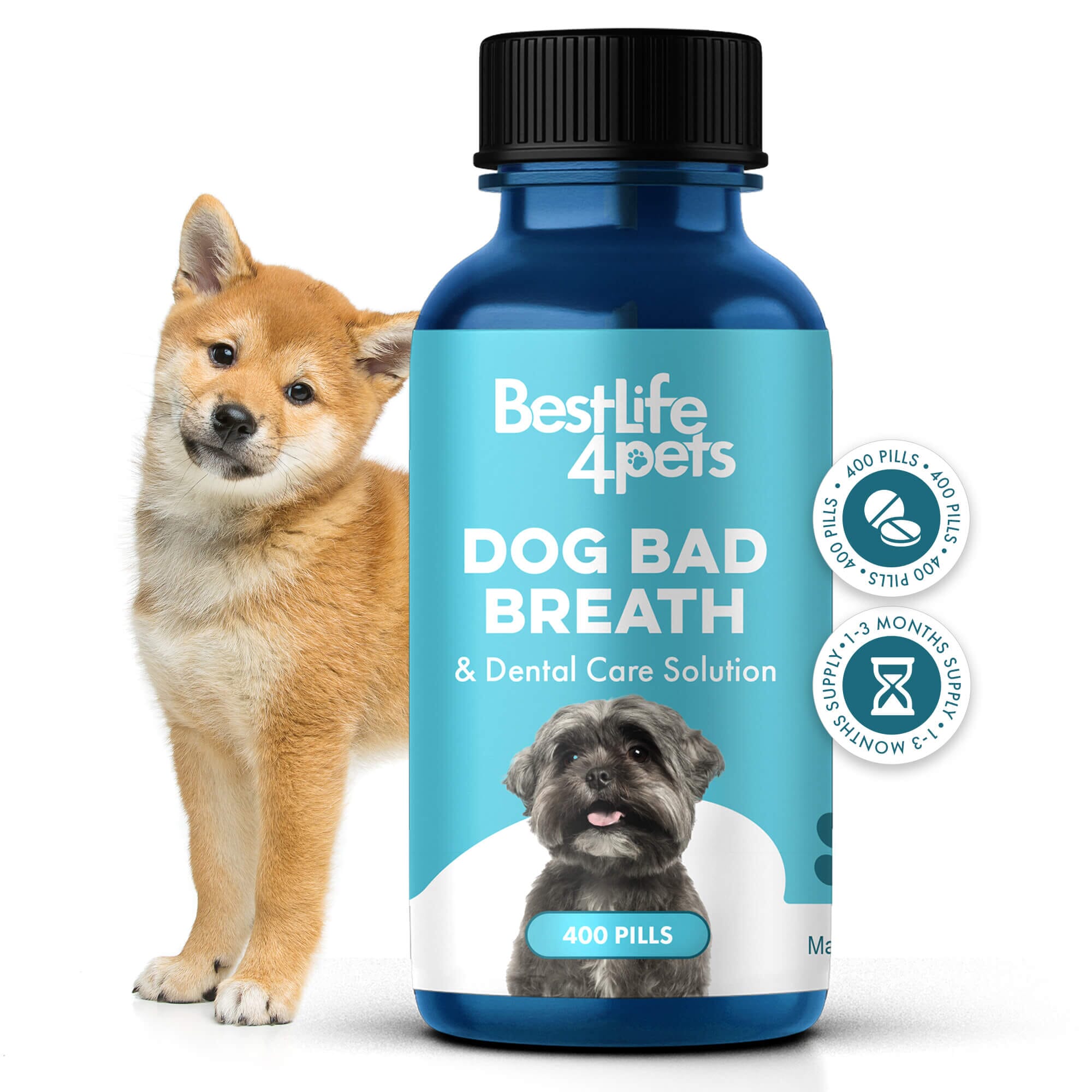Dog Bad Breath & Dental Care Solution by BestLife4Pets