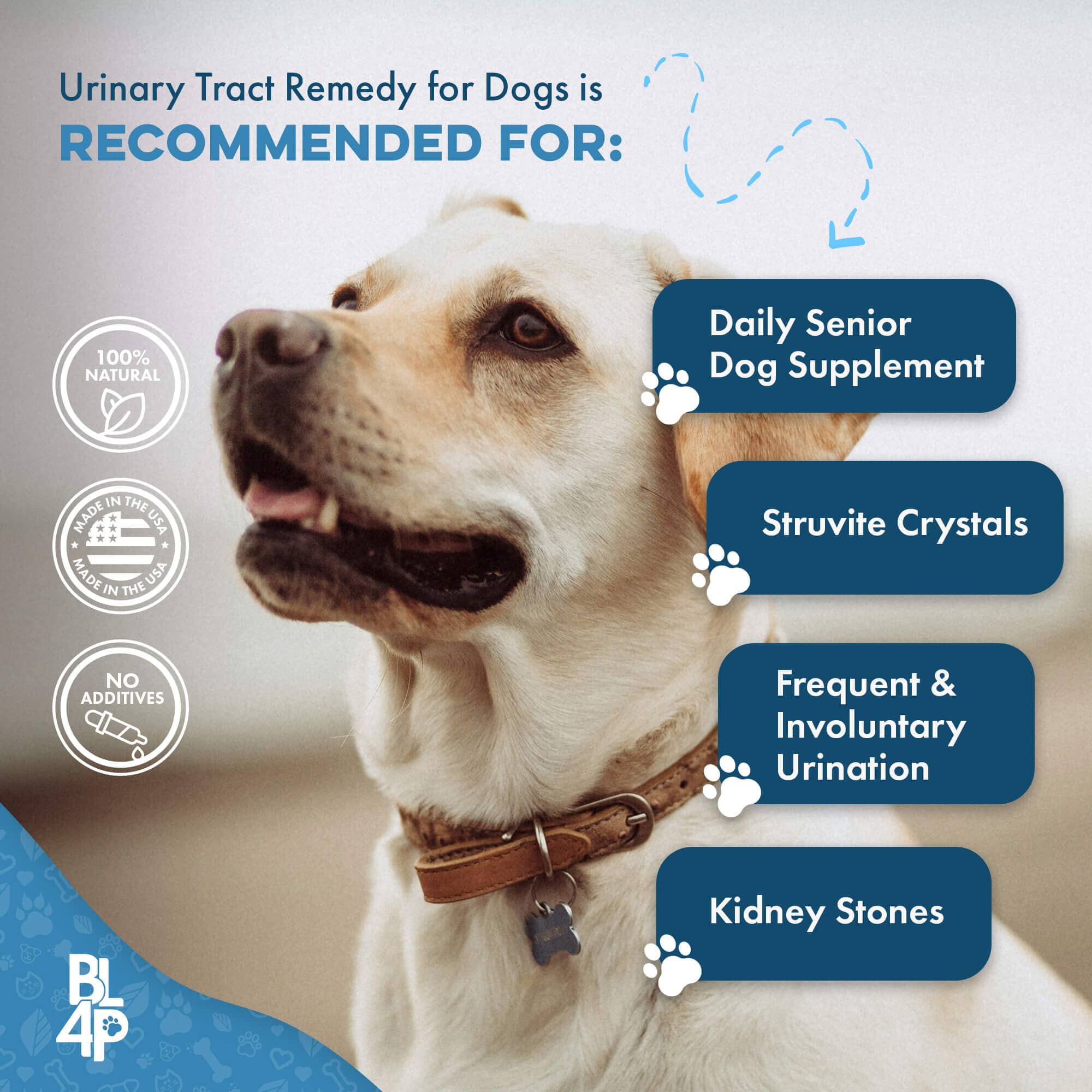 Dog UTI & Kidney Support by BestLife4Pets
