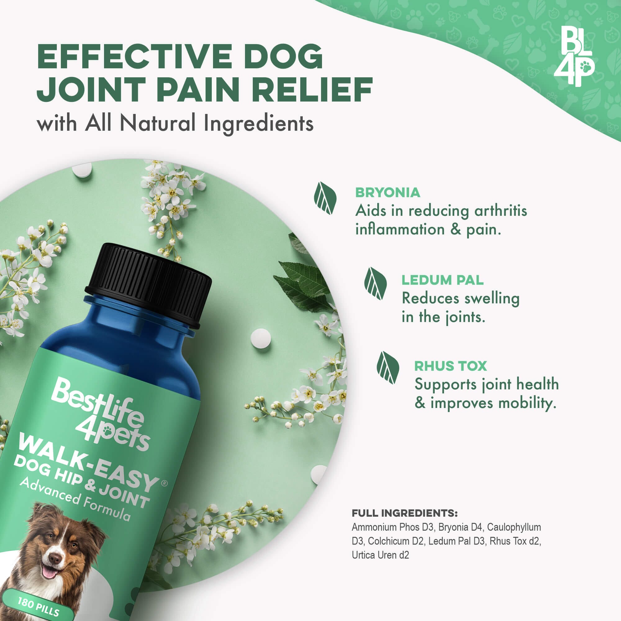 WALK-EASY™ Extra Strength Natural Pain Relief for Dogs - Helps Dog Joint Pain, Arthritis, ACL, Limping and More by BestLife4Pets
