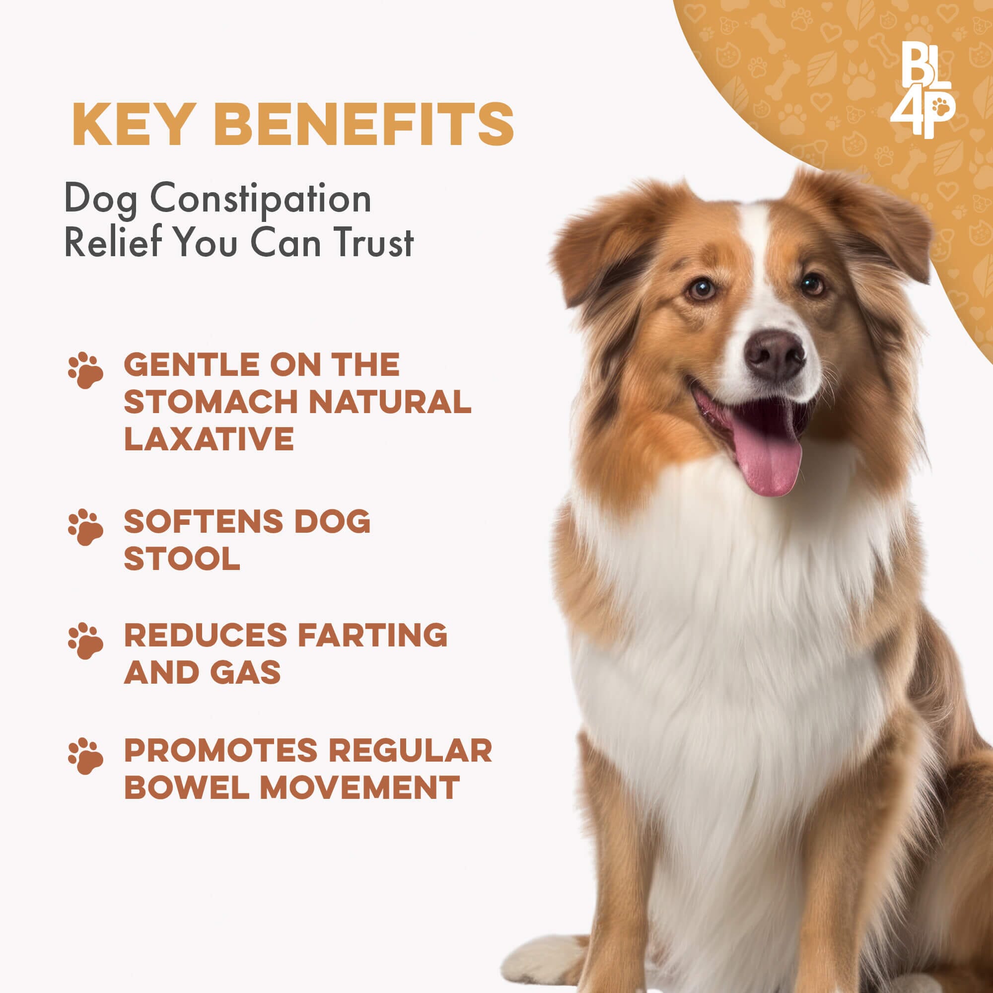 Natural Dog Laxative & Constipation Treatment by BestLife4Pets