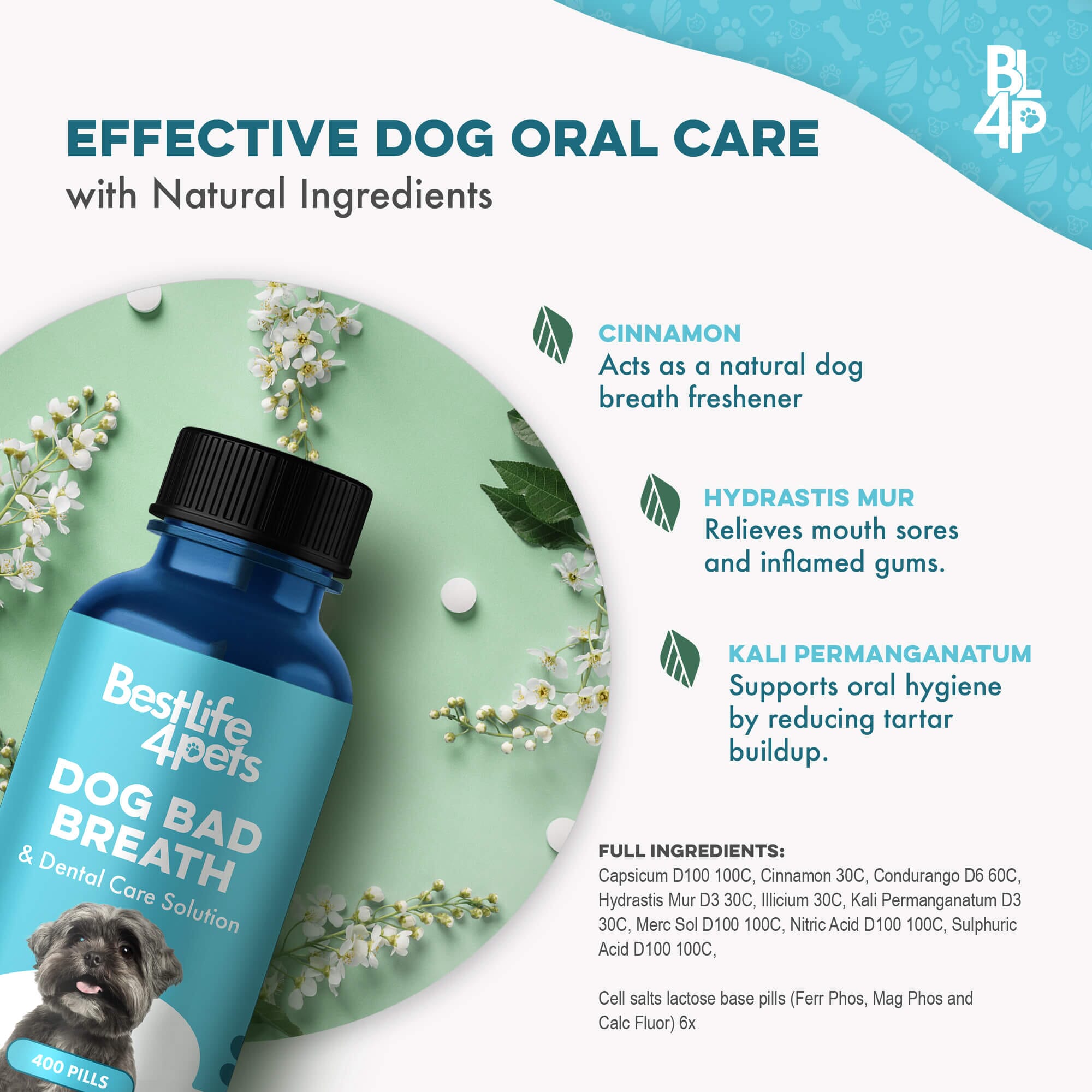 Dog Bad Breath & Dental Care Solution by BestLife4Pets