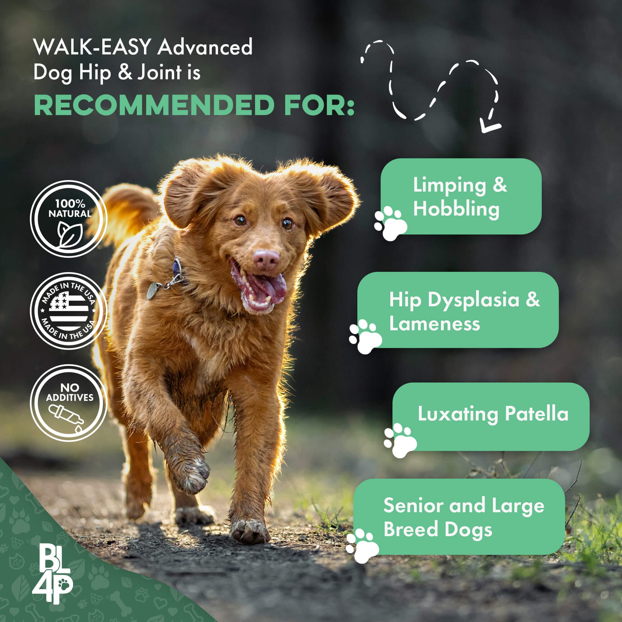 WALK-EASY™ Extra Strength Natural Pain Relief for Dogs - Helps Dog Joint Pain, Arthritis, ACL, Limping and More by BestLife4Pets