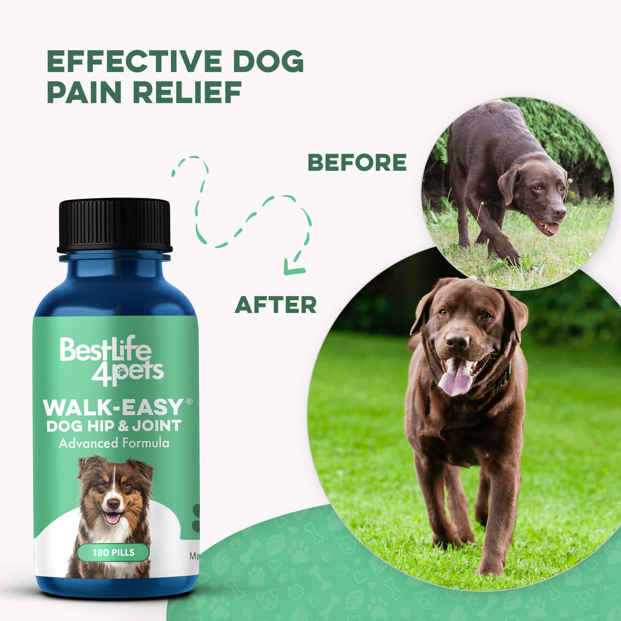 WALK-EASY™ Extra Strength Natural Pain Relief for Dogs - Helps Dog Joint Pain, Arthritis, ACL, Limping and More by BestLife4Pets