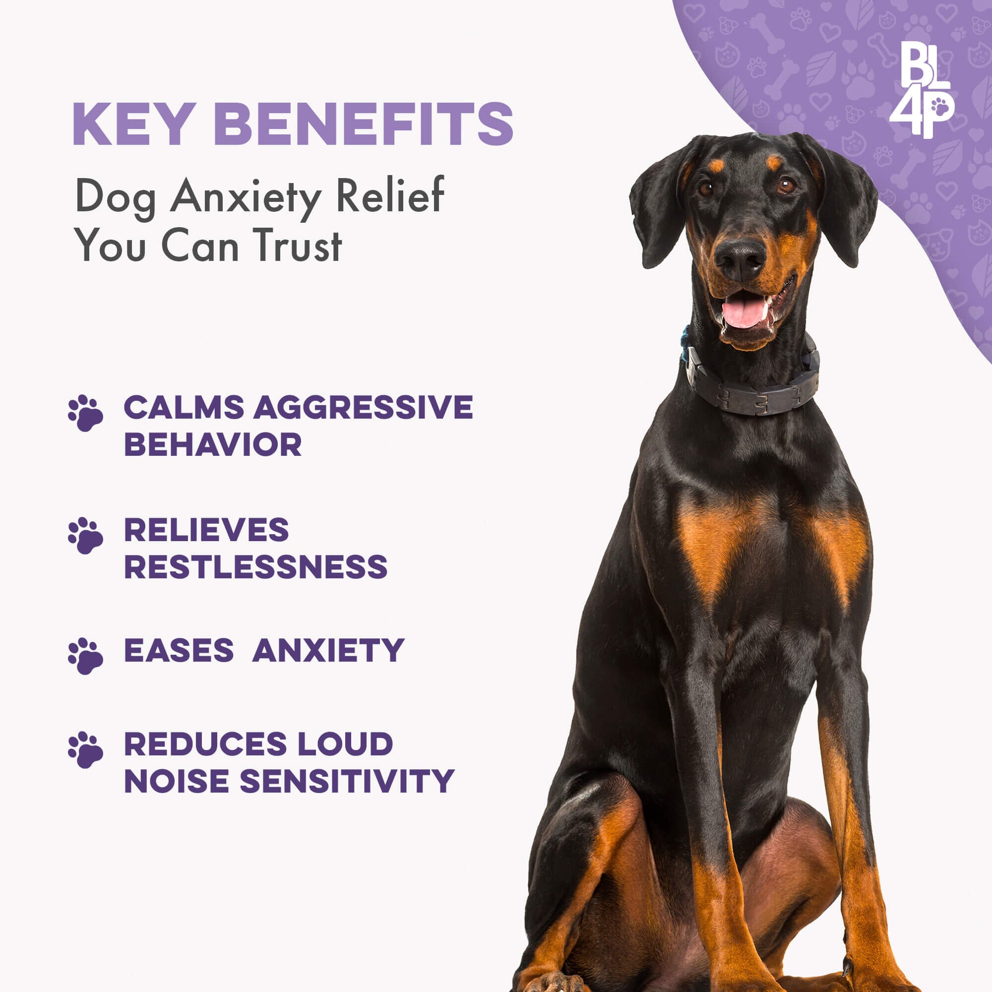 Peaceful Paws Dog Aggression Management and Noise Phobia Remedy by BestLife4Pets