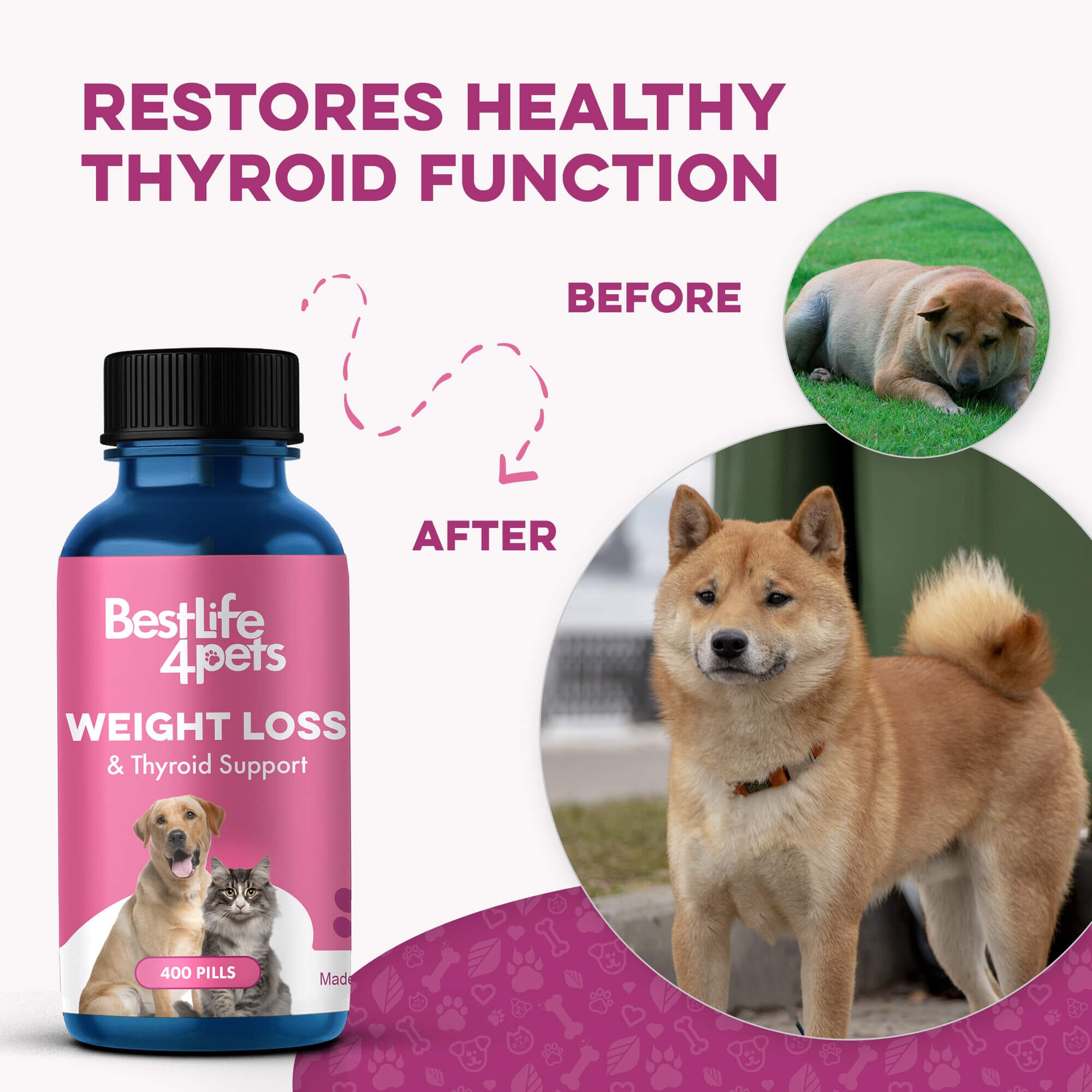 Natural Weight Loss & Thyroid Support Supplement for Dogs & Cats by BestLife4Pets