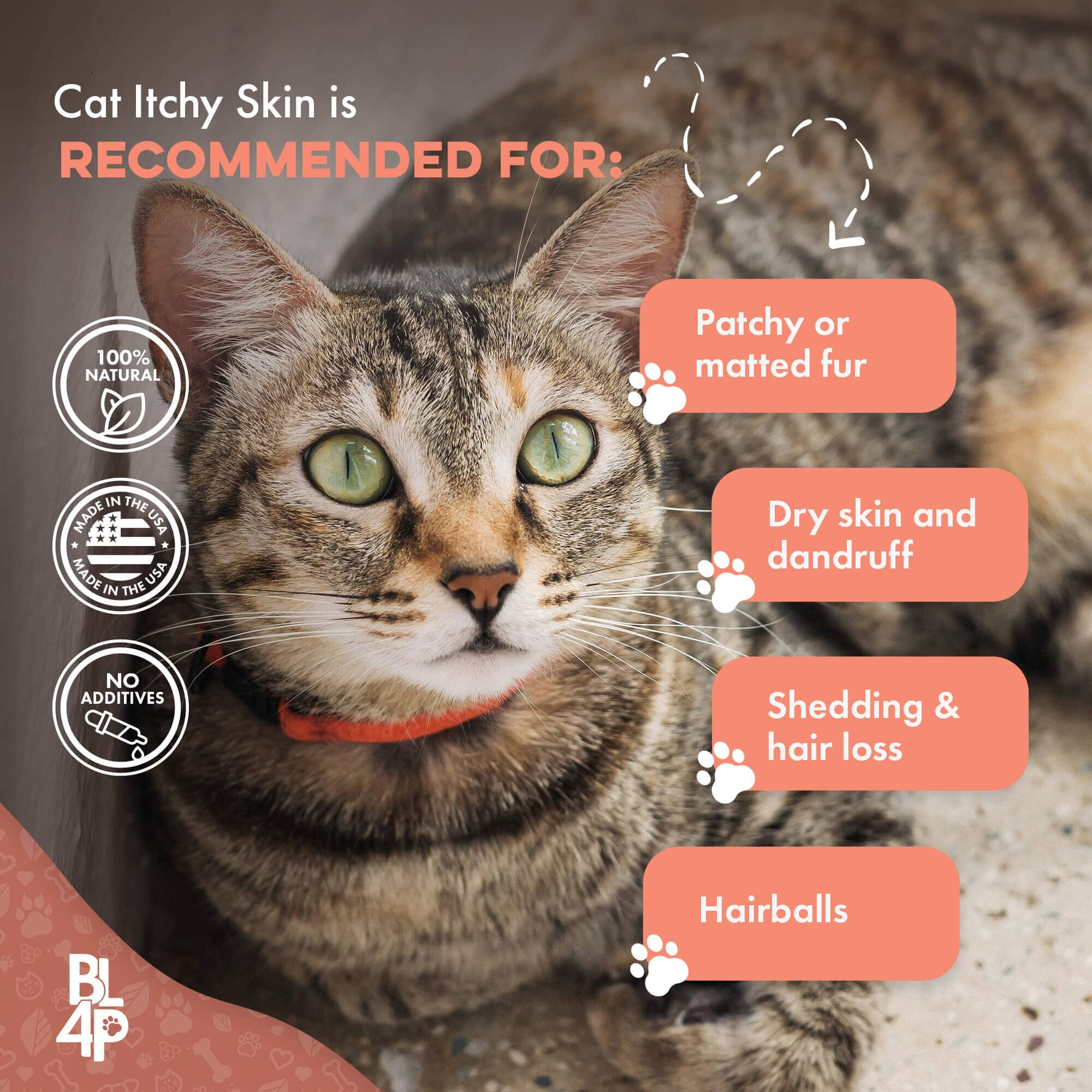 Healthy Skin for Cats - Cat Miliary Dermatitis, Skin Allergy & Cat Scabs Remedy by BestLife4Pets