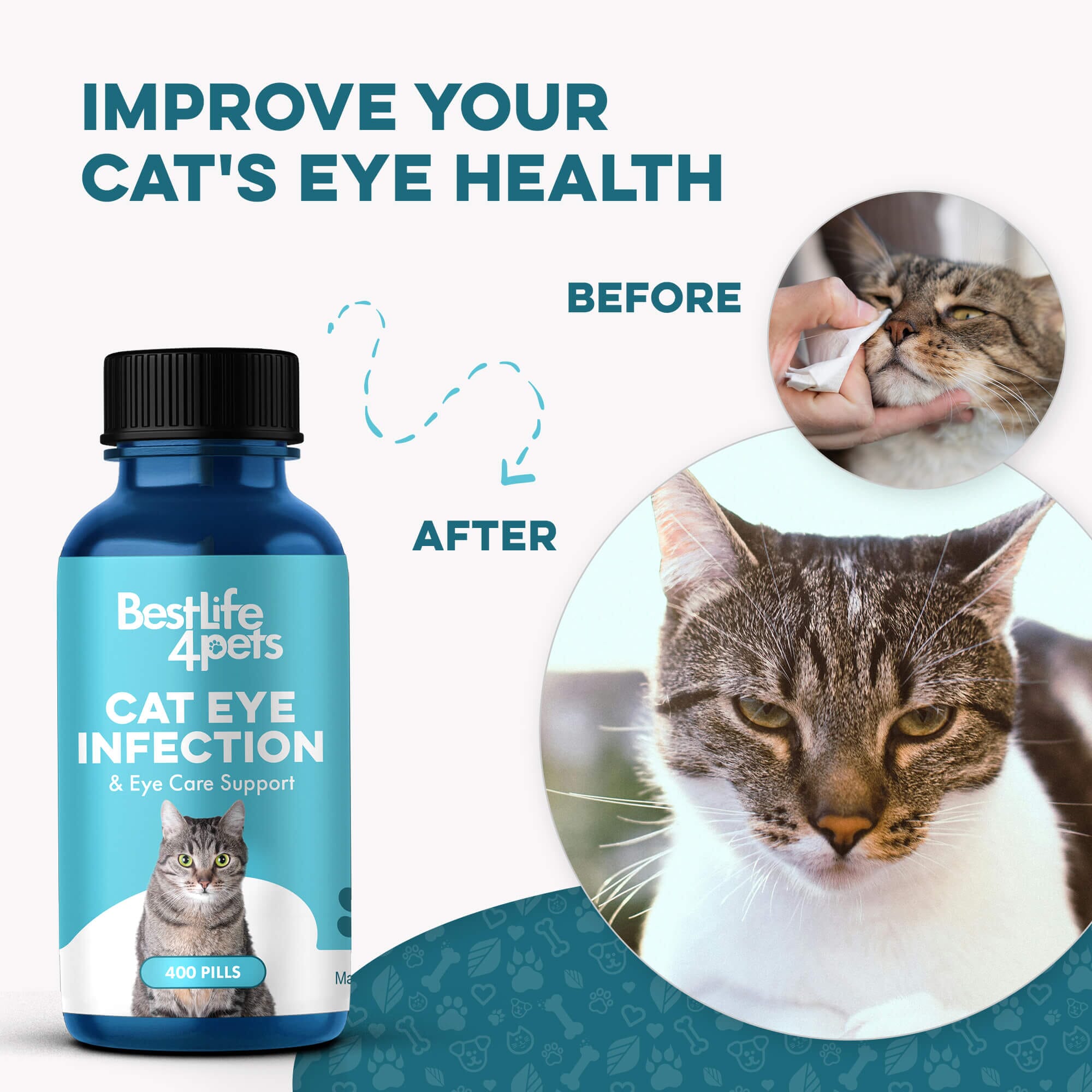 Cat Eye Infection, Eye Care & Vision Support by BestLife4Pets