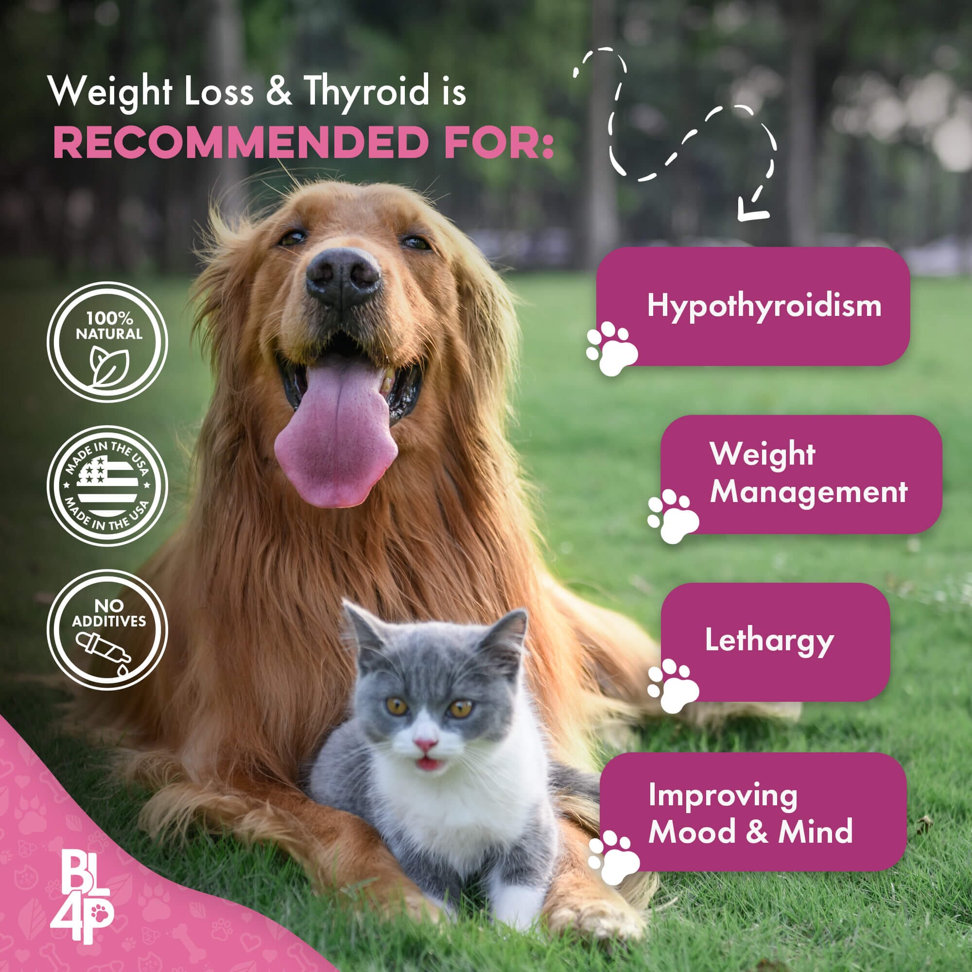 Natural Weight Loss & Thyroid Support Supplement for Dogs & Cats by BestLife4Pets