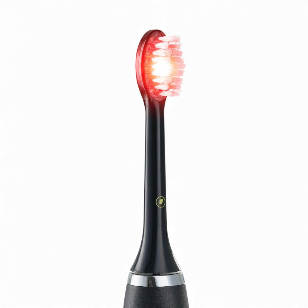 RedRay Replacement Brush Head