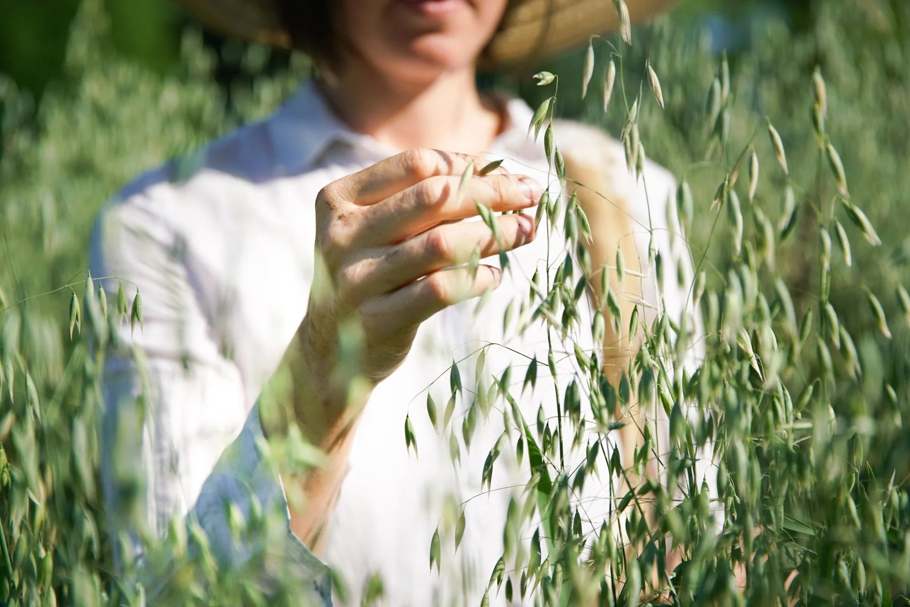 Daily Adaptogen Tincture