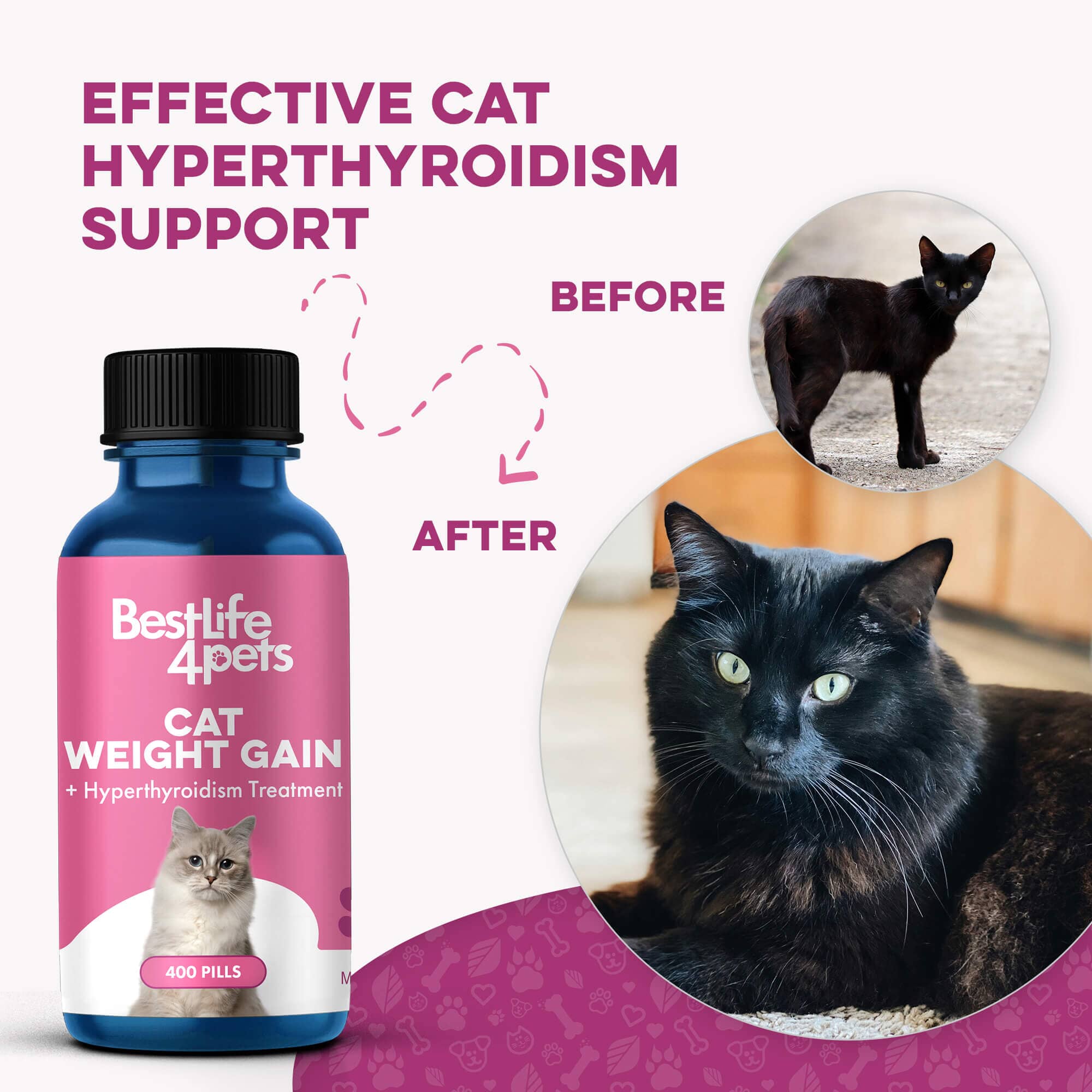 Hyperthyroidism Supplement for Cats - Helps Cat Weight Gain by BestLife4Pets