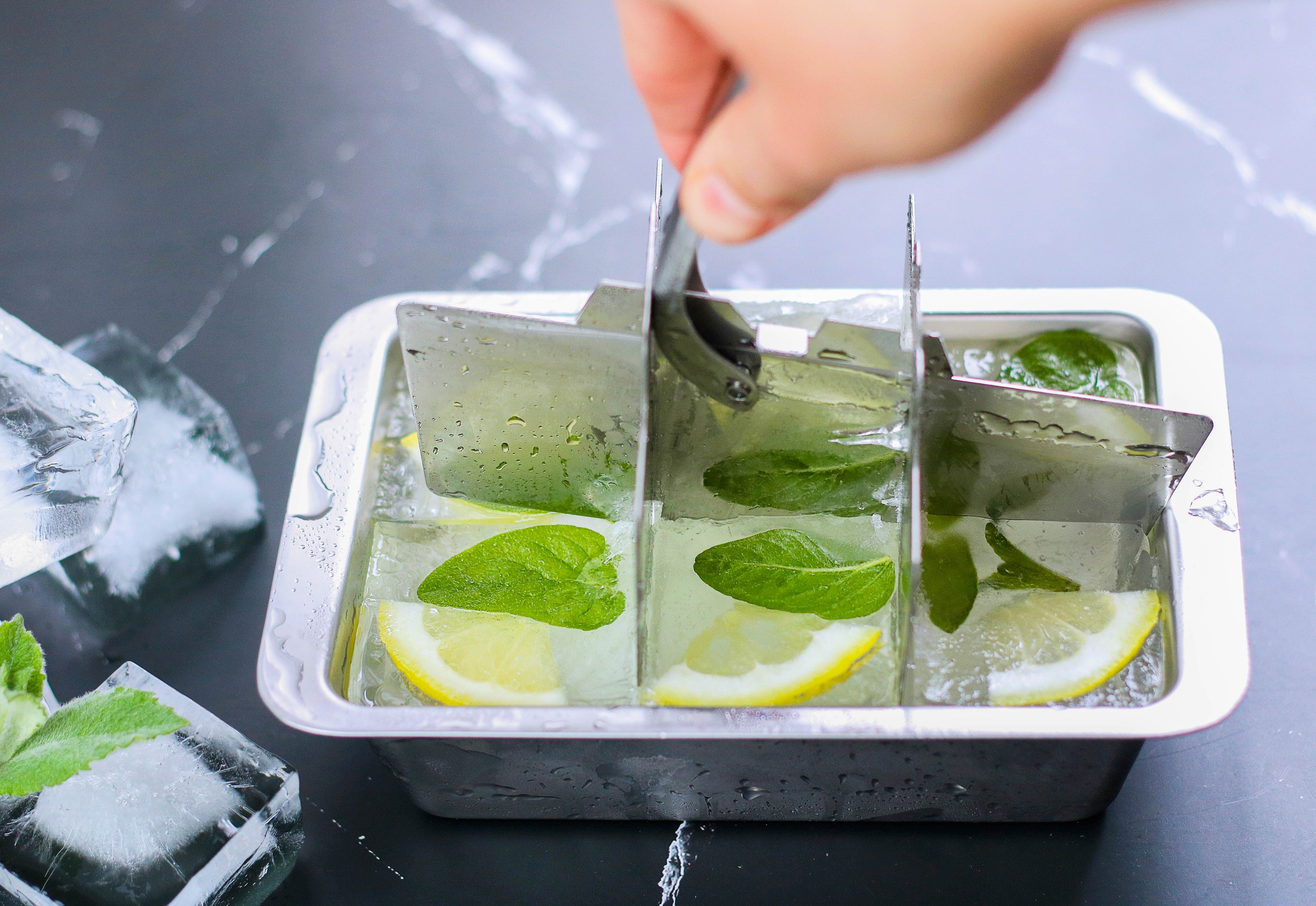 Ecozoi Stainless Steel Ice Cube Trays with Easy Release, 2 Pack, 12 Large Cubes by ecozoi