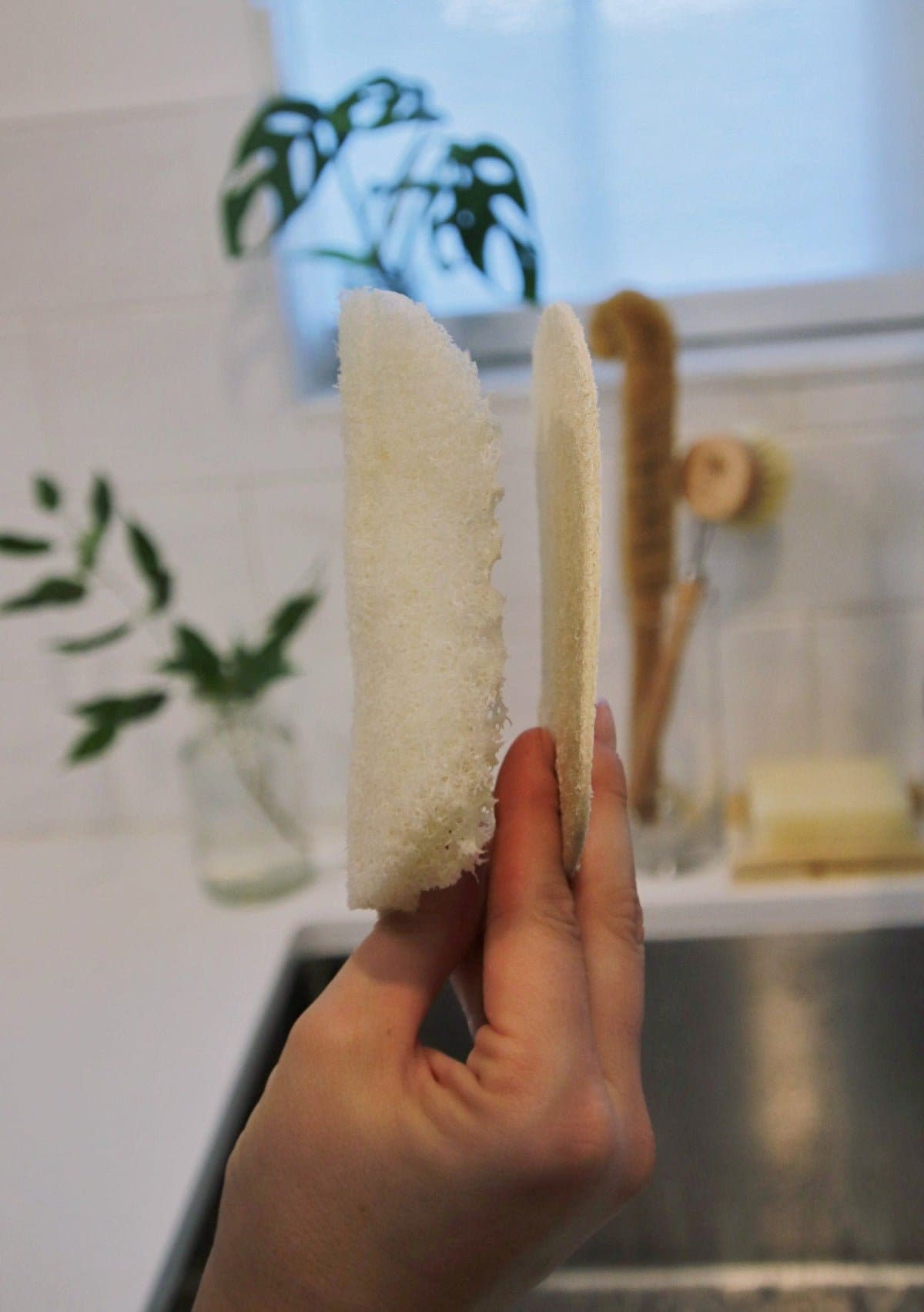 Eco Dish Sponges: Single Layer 3-Pack