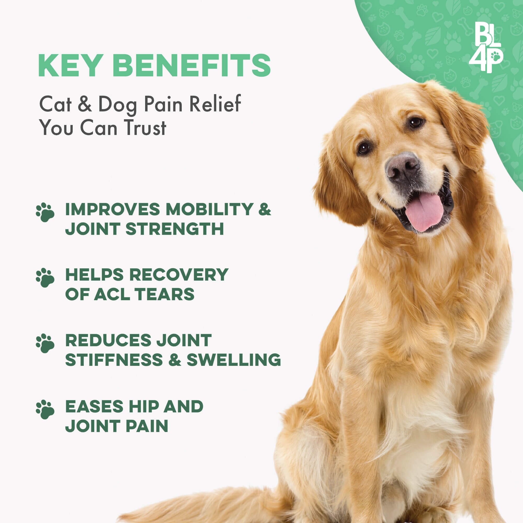 WALK-EASY® Joint and Hip Pain Relief for Dogs and Cats - Helps Arthritis, Torn Ligament and Other Joint Conditions by BestLife4Pets