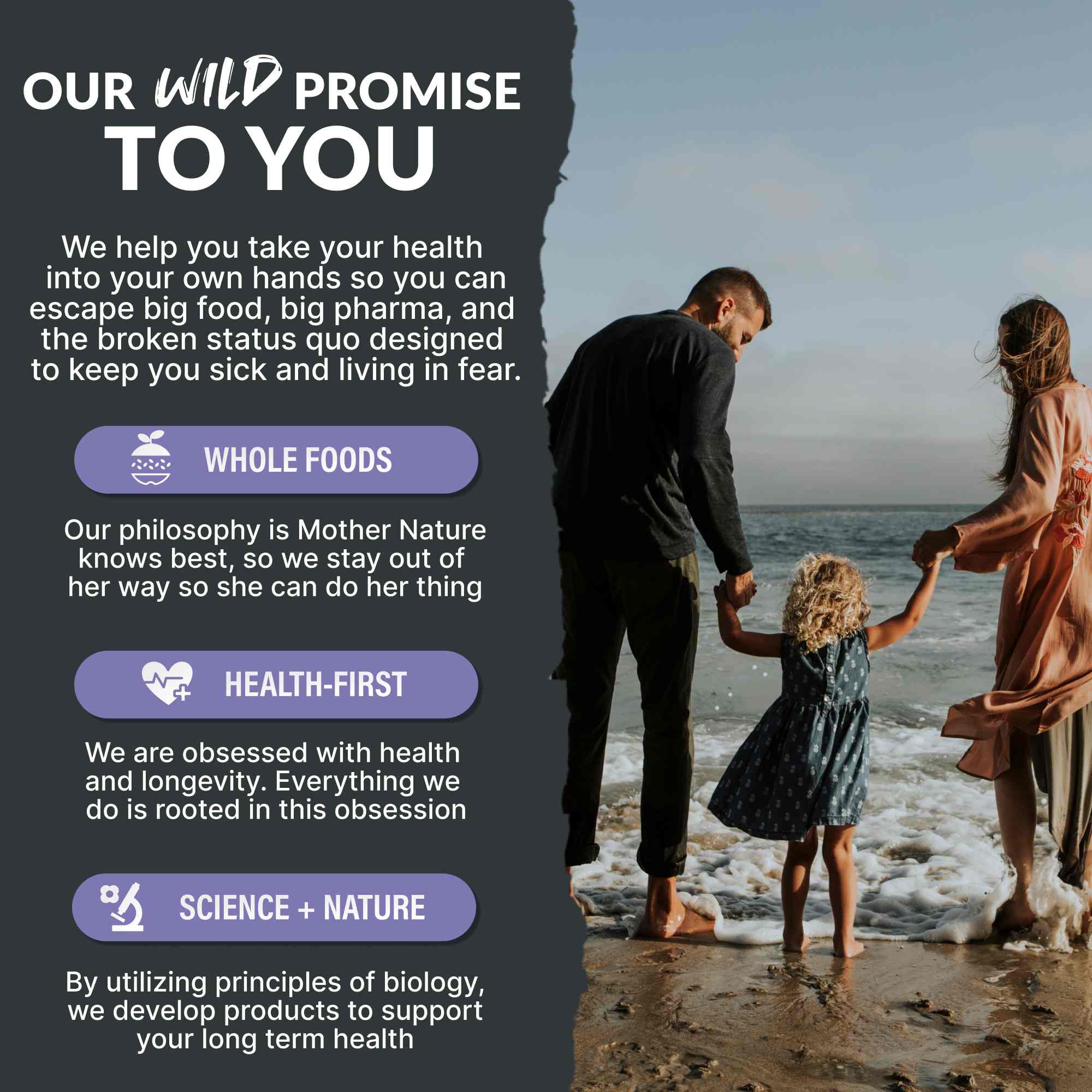 Wholesale of 60 - Wild Kids Calm Gummies