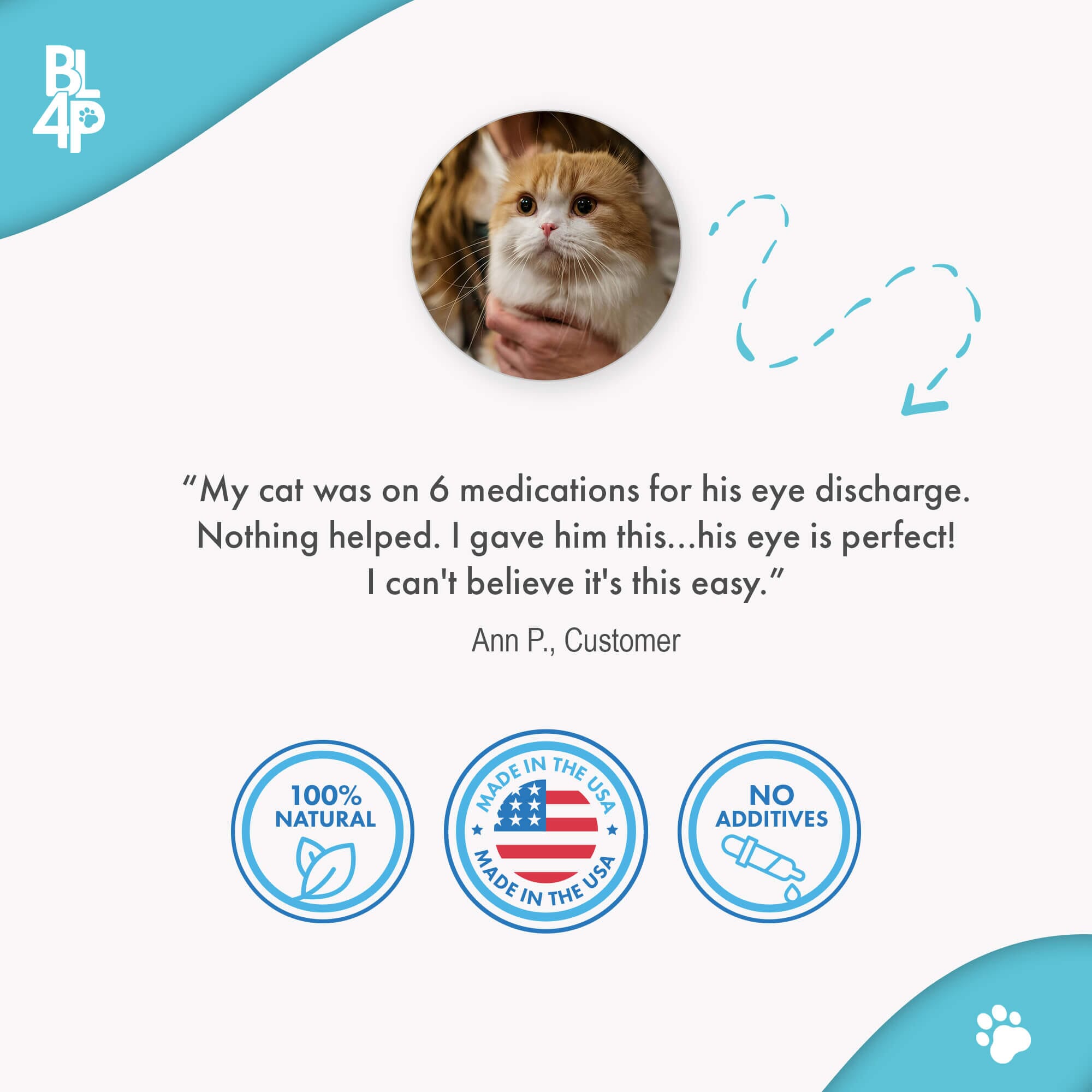 Cat Eye Infection, Eye Care & Vision Support by BestLife4Pets