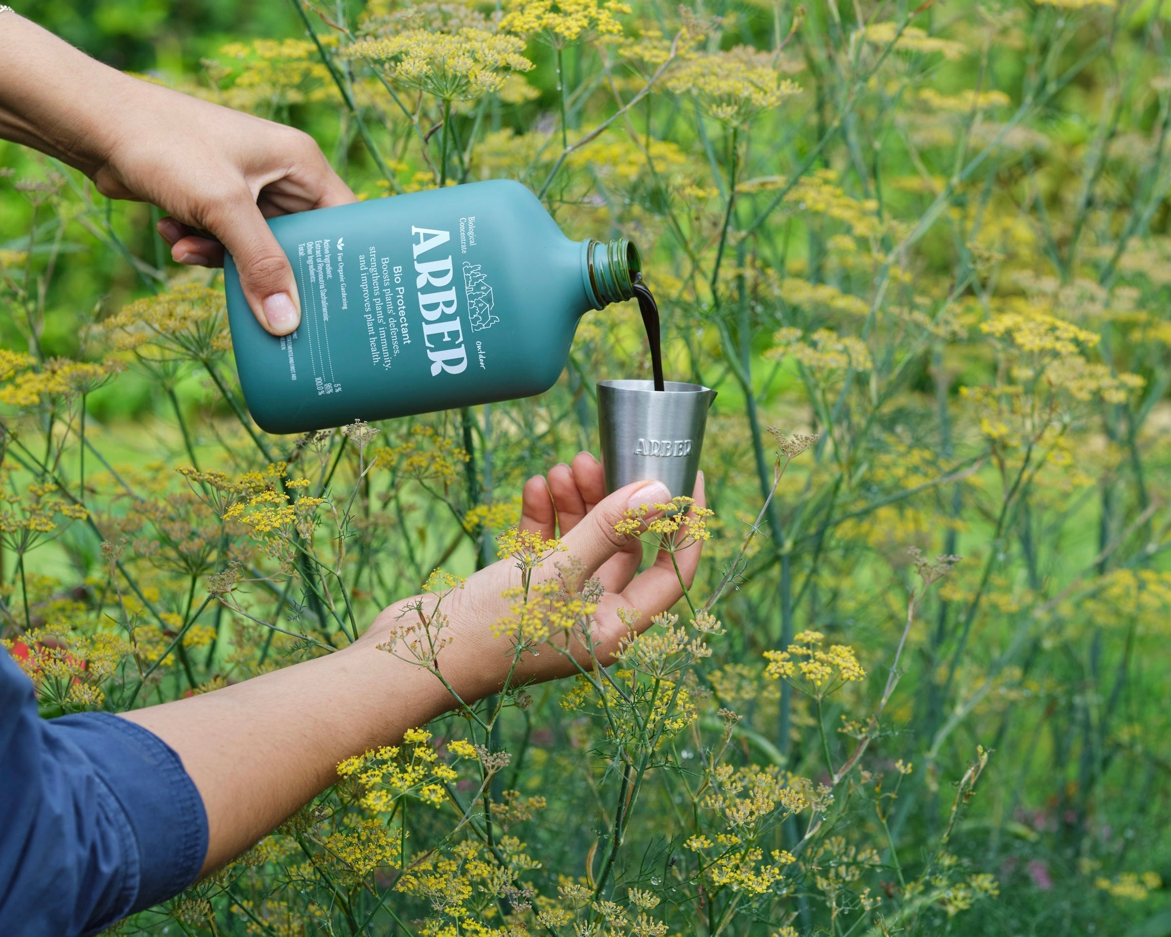 Measuring Cup by Arber