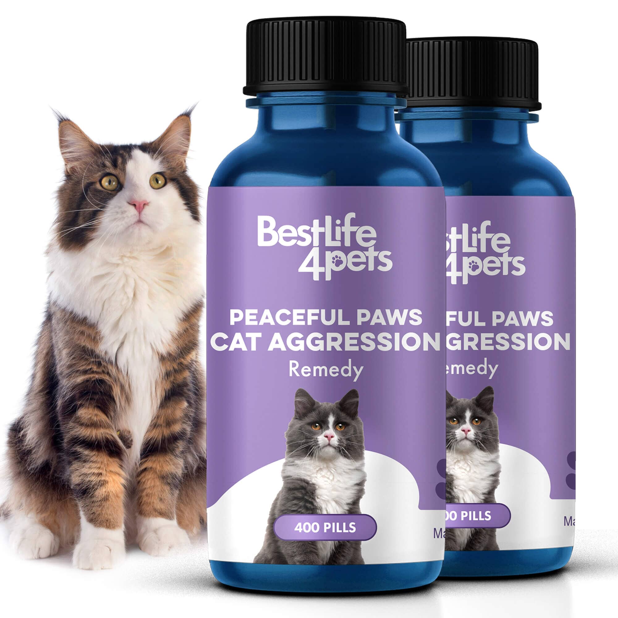 Peaceful Paws Cat Aggression & Anxiety Management for Stress, Spraying, Territorial Behavior by BestLife4Pets