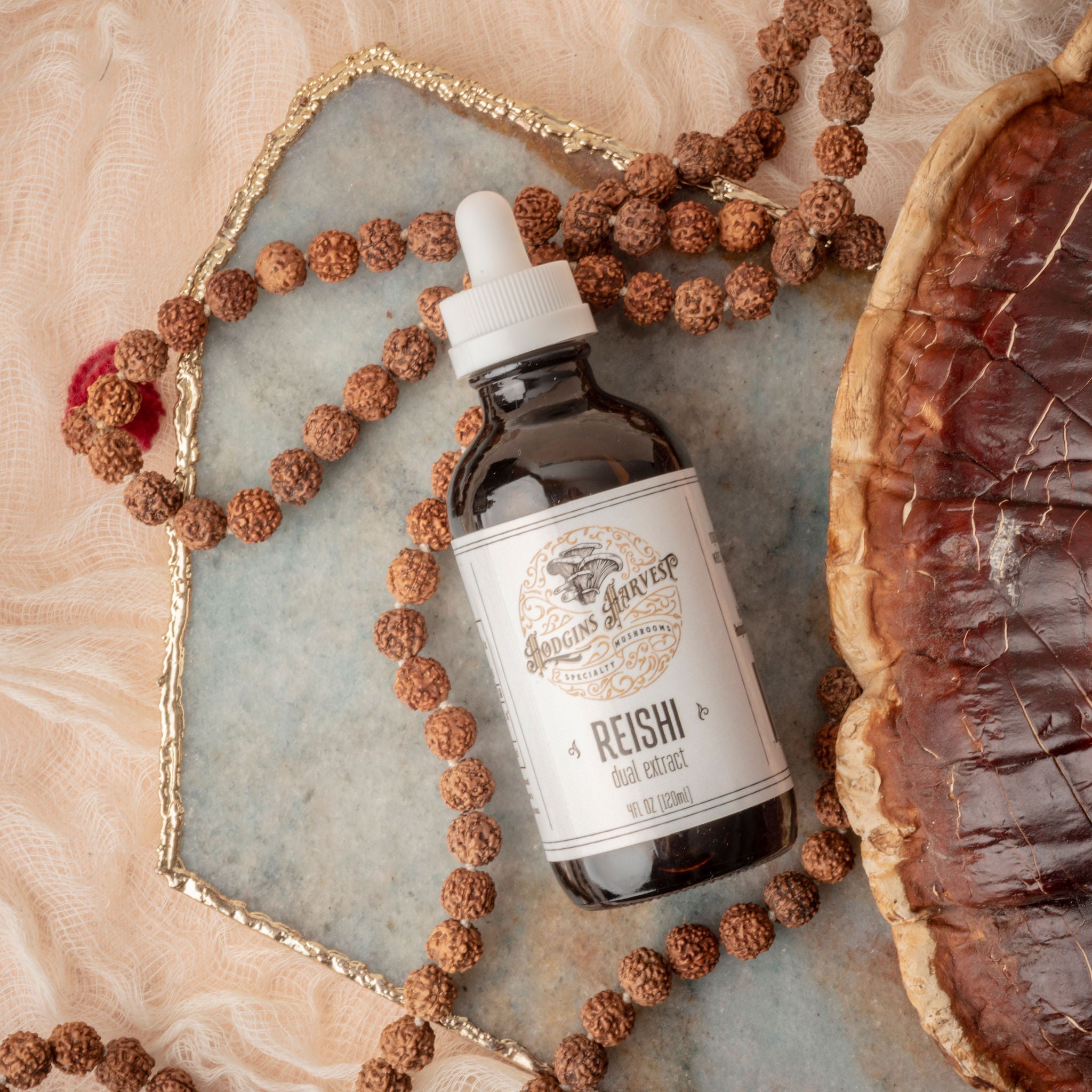 Reishi Dual Extract Tincture by Hodgins Harvest
