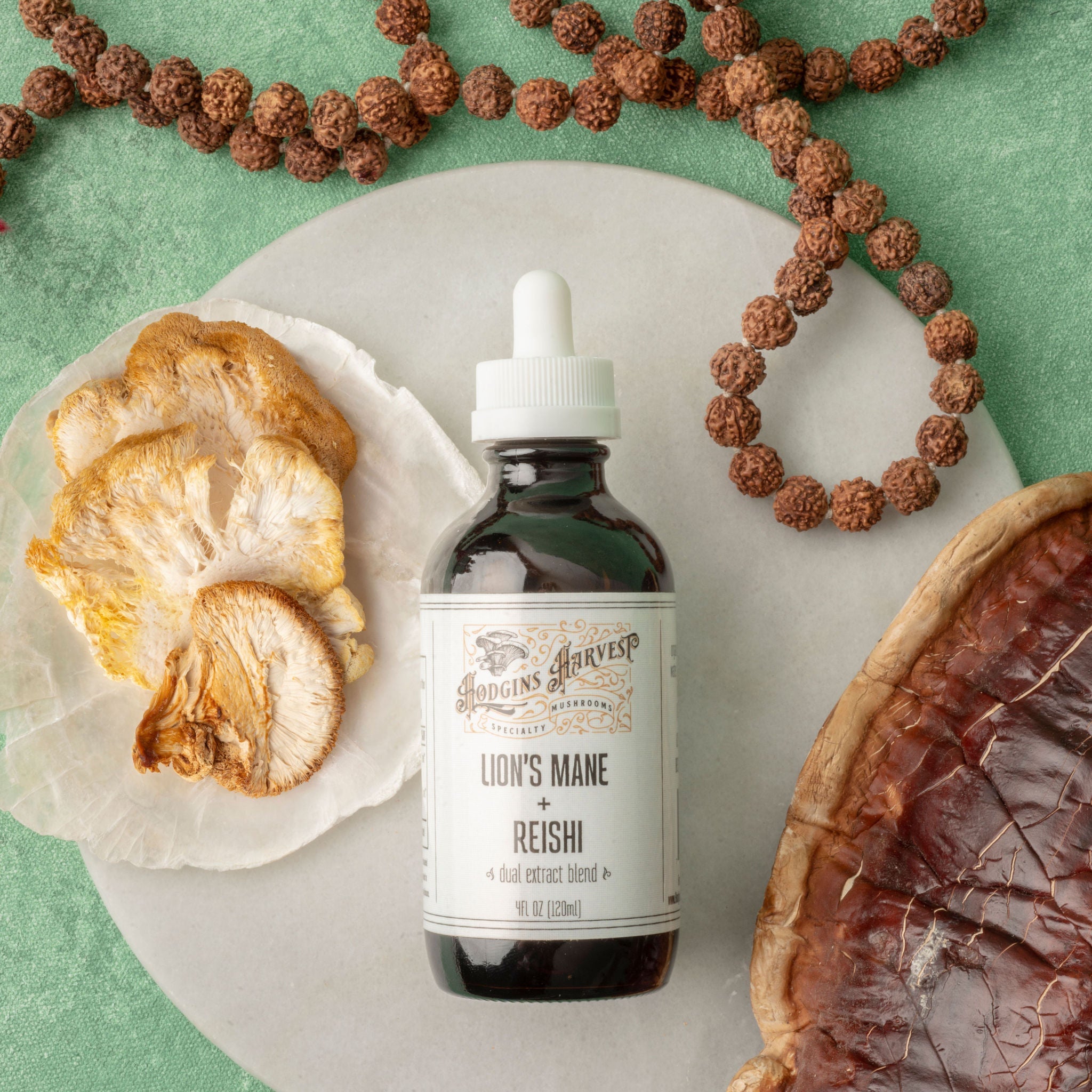 Lion's Mane + Reishi Dual Extract Tincture by Hodgins Harvest