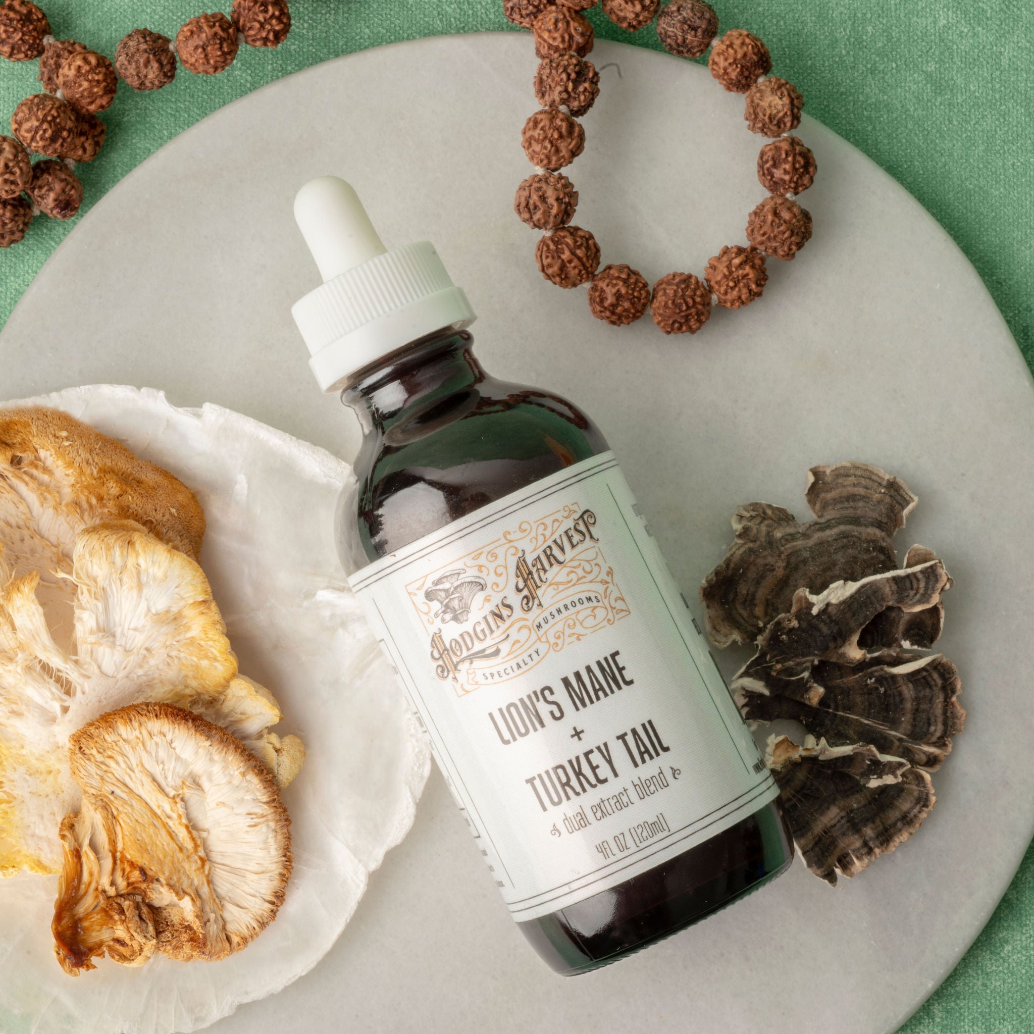 Lion's Mane + Turkey Tail Dual Extract Tincture by Hodgins Harvest