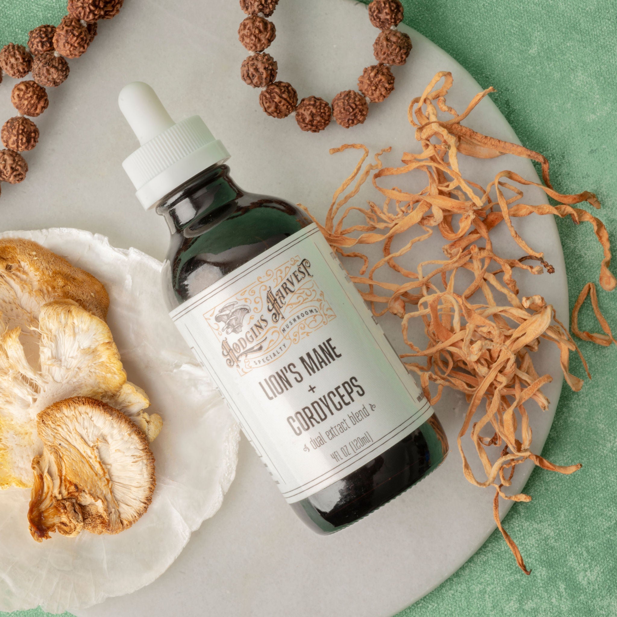 Lion's Mane + Cordyceps Dual Extract Tincture by Hodgins Harvest