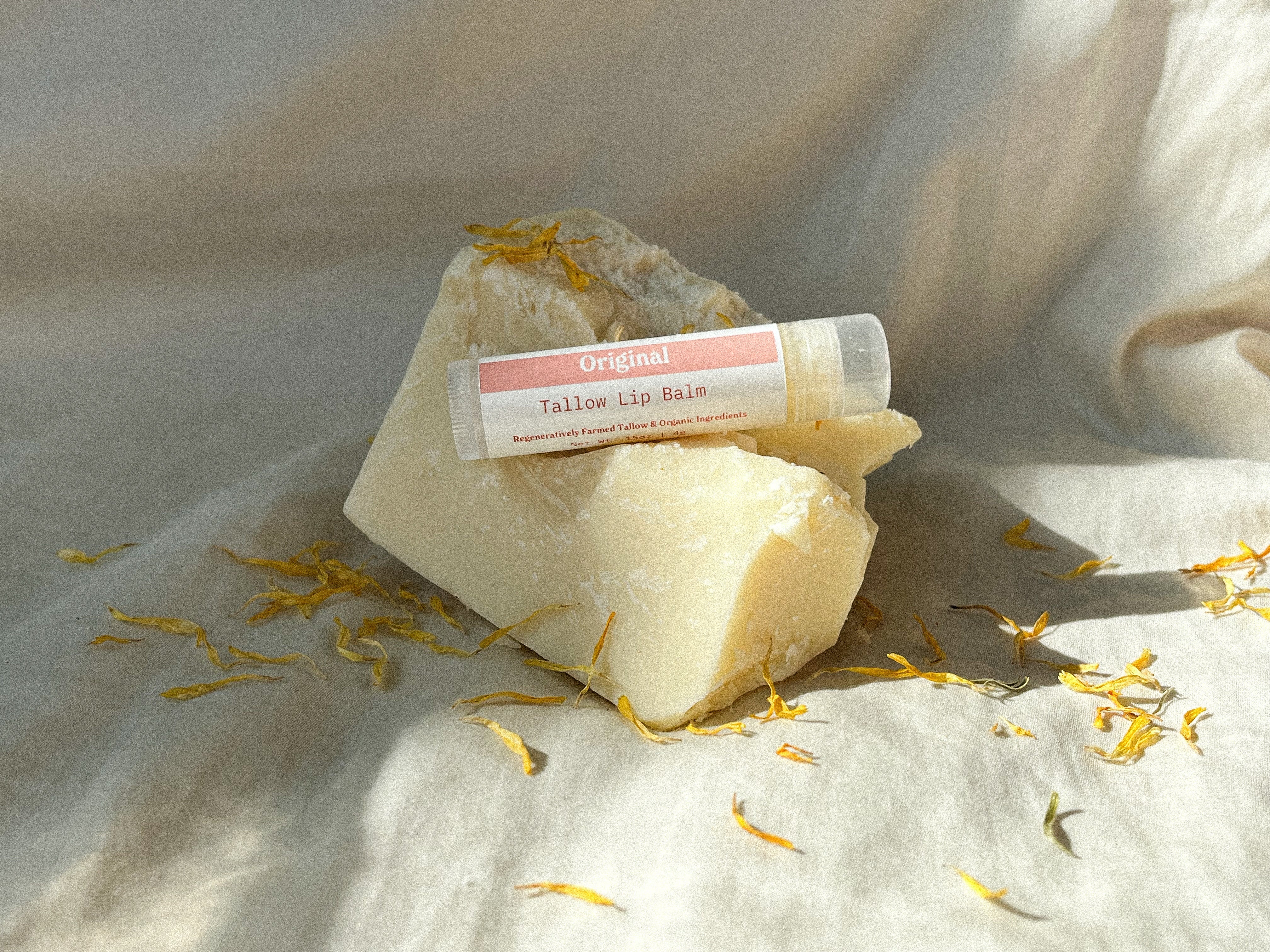 Tallow Lip Balm