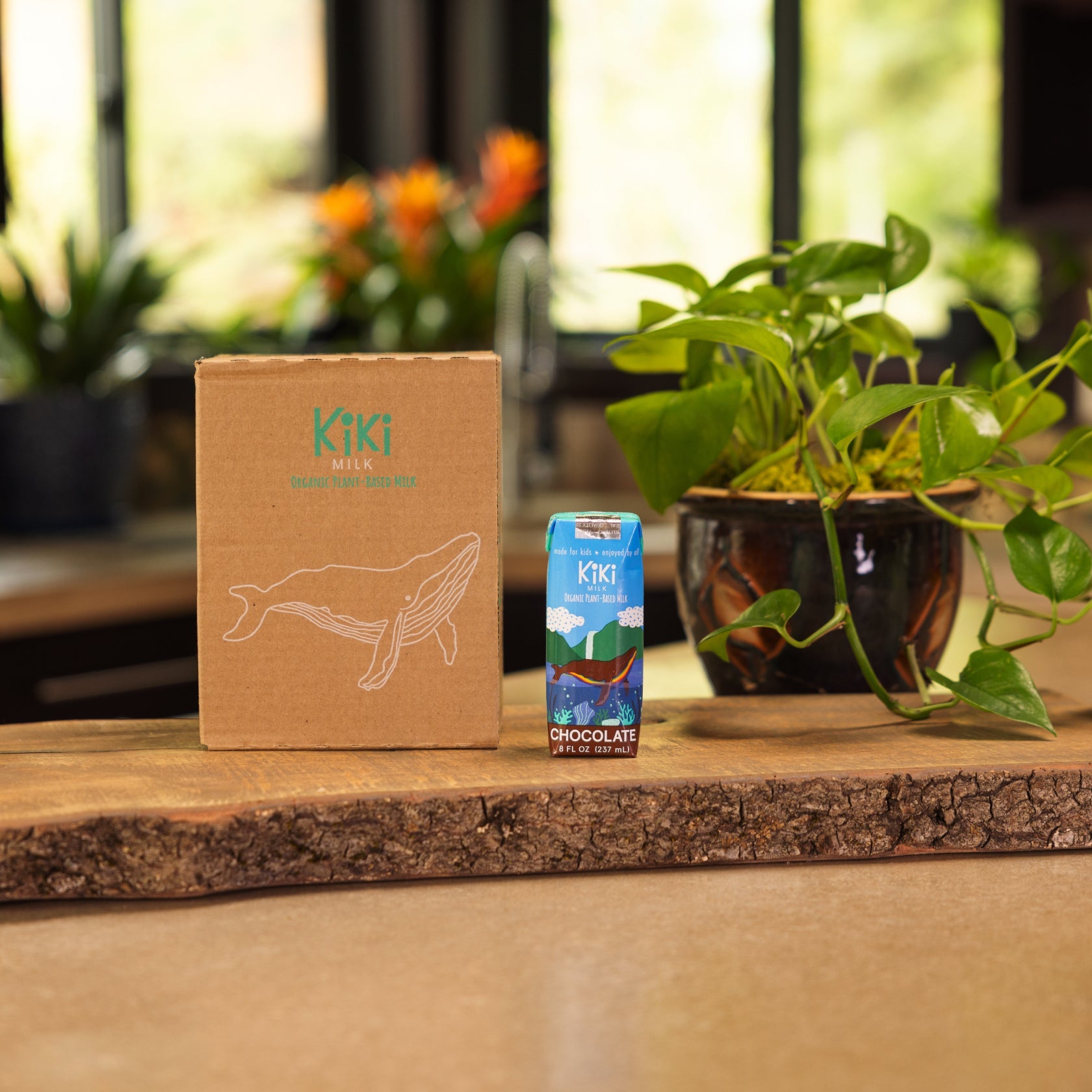 Chocolate Kiki Milk - 8 fl oz - Pack of 12 by Kiki Milk