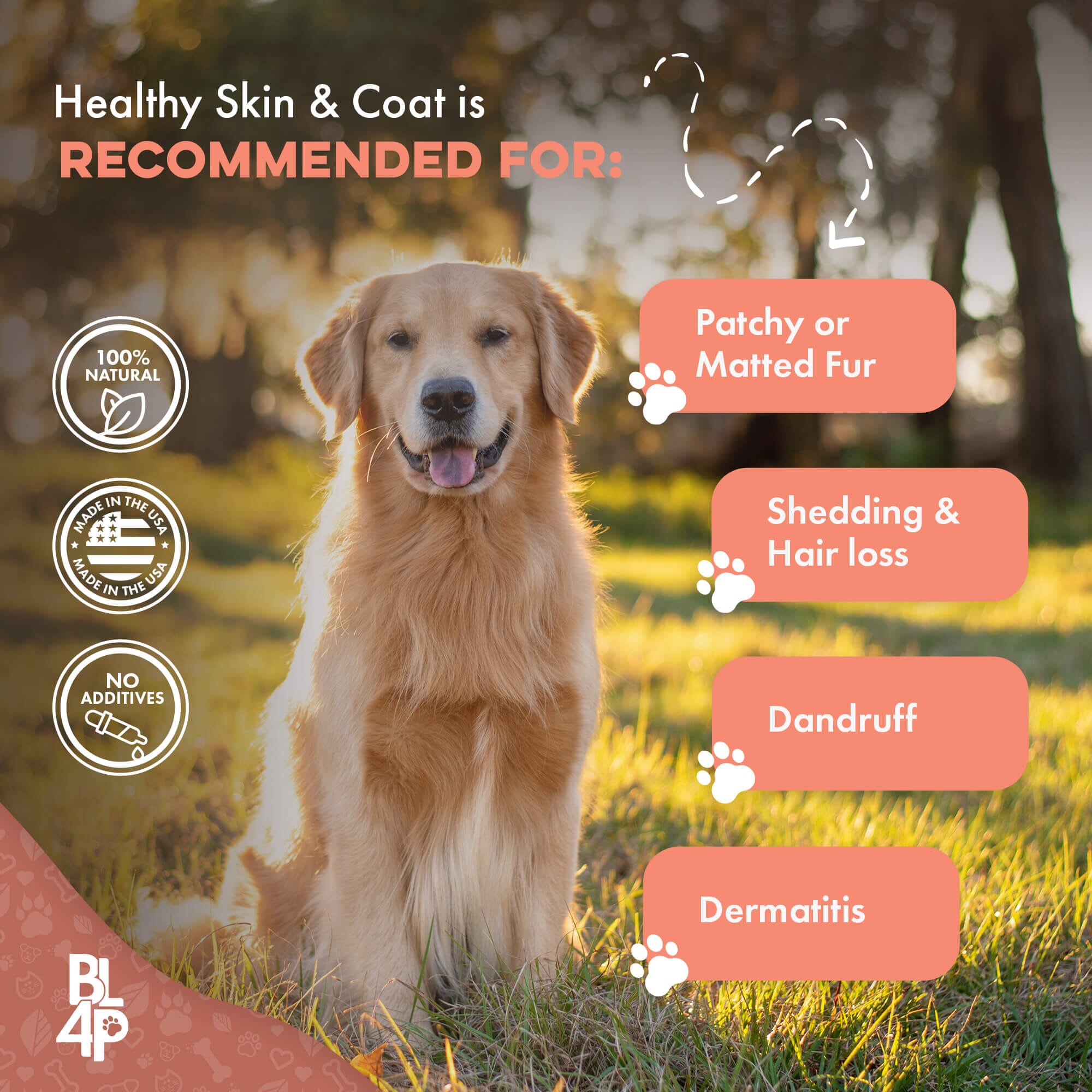 Healthy Skin & Coat for Dogs by BestLife4Pets
