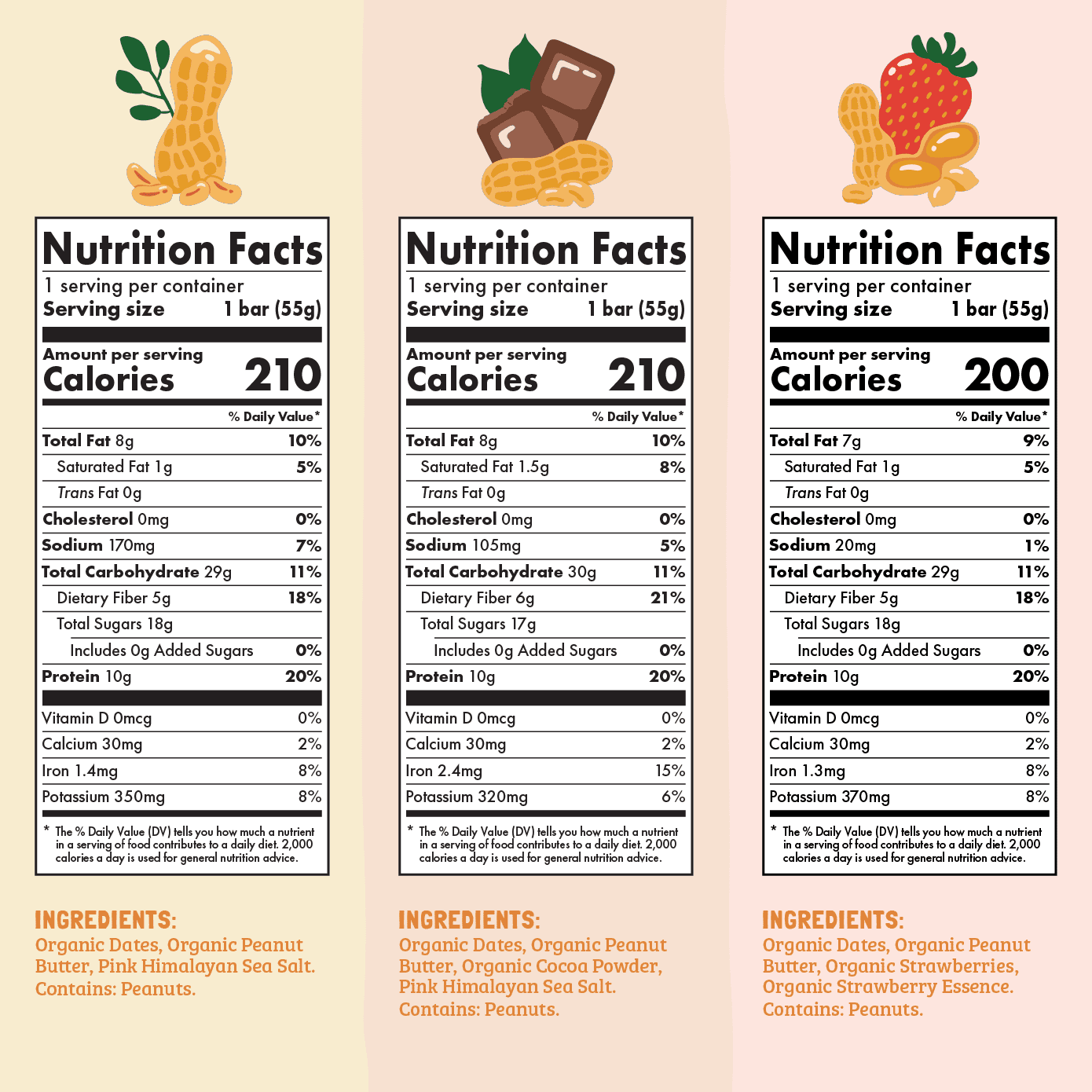 Skout Organic Protein Bar Sample Pack by Skout Organic