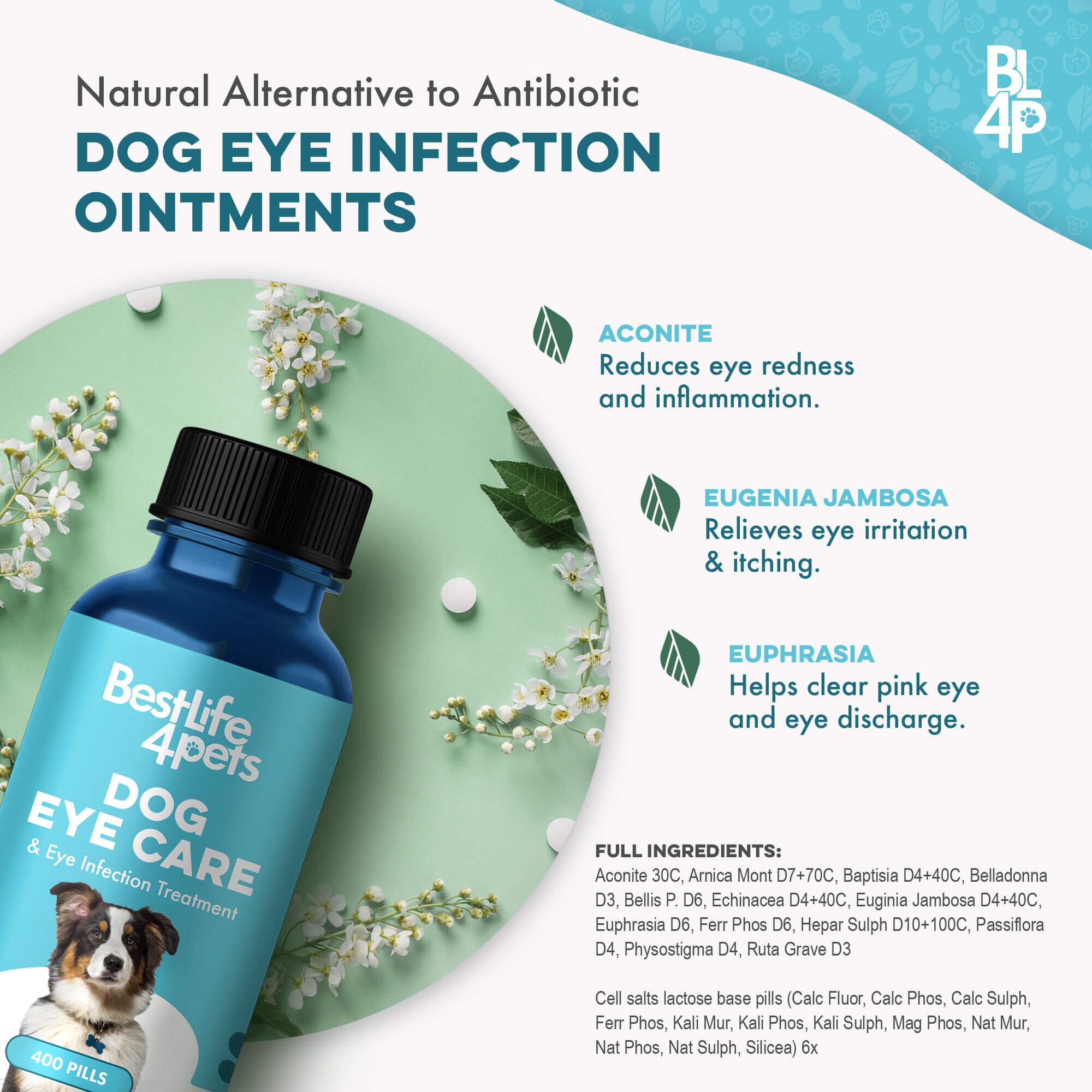 Natural Dog Eye Infection Treatment - Helps Conjunctivitis, Watery Eyes, Red Eye, and General Eye Care by BestLife4Pets