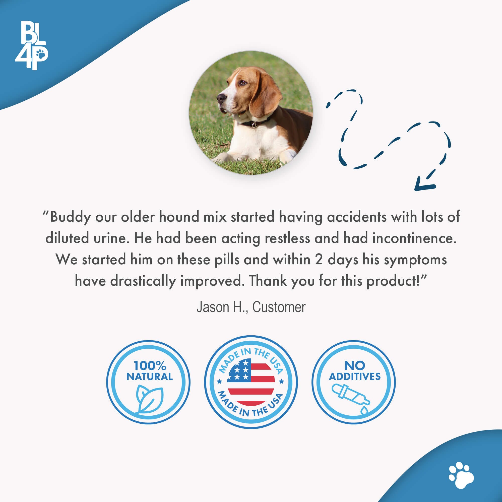 Dog UTI & Kidney Support by BestLife4Pets