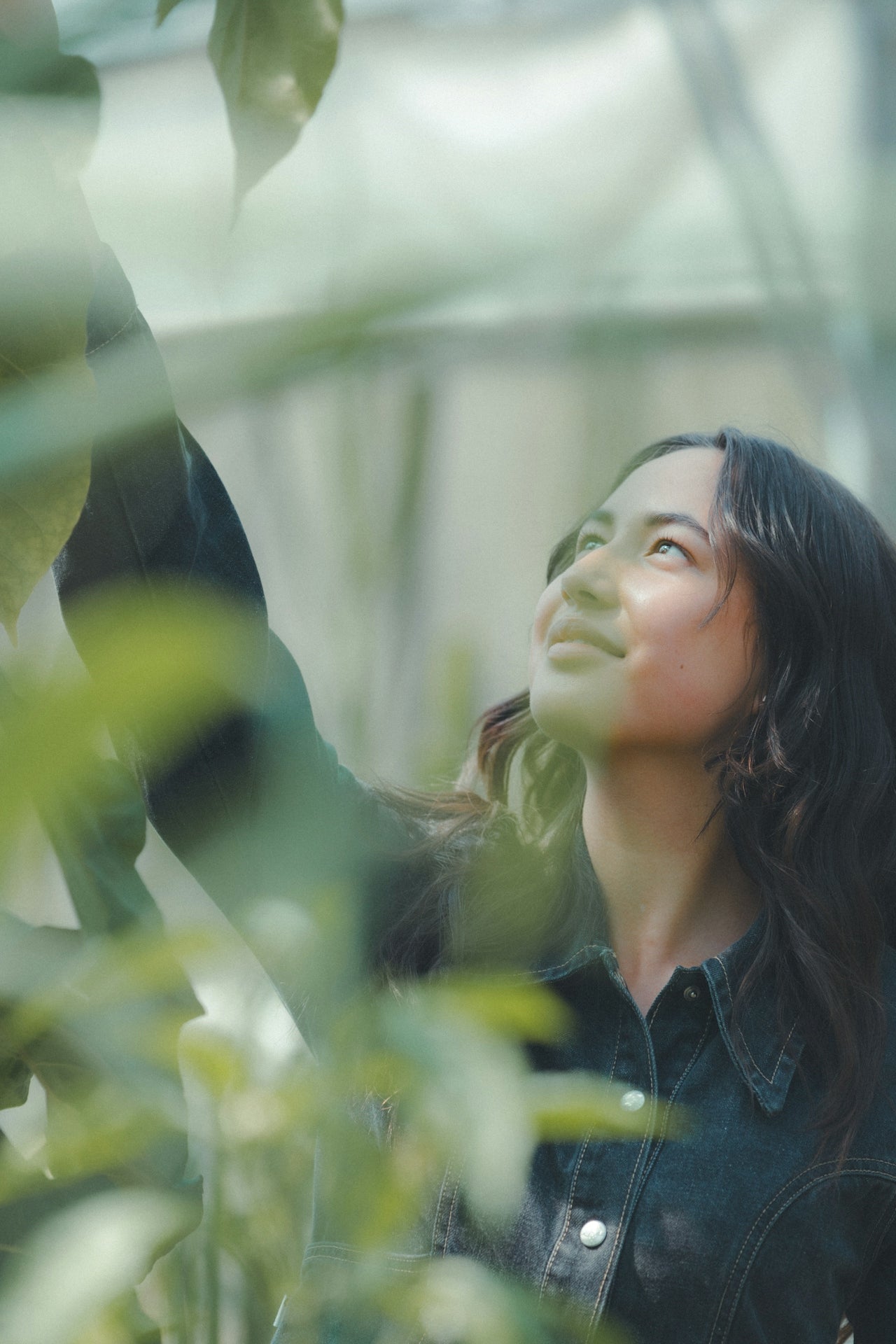 Peri-Implant Protocol