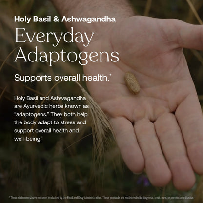 One Daily Men's 40+ Multivitamin